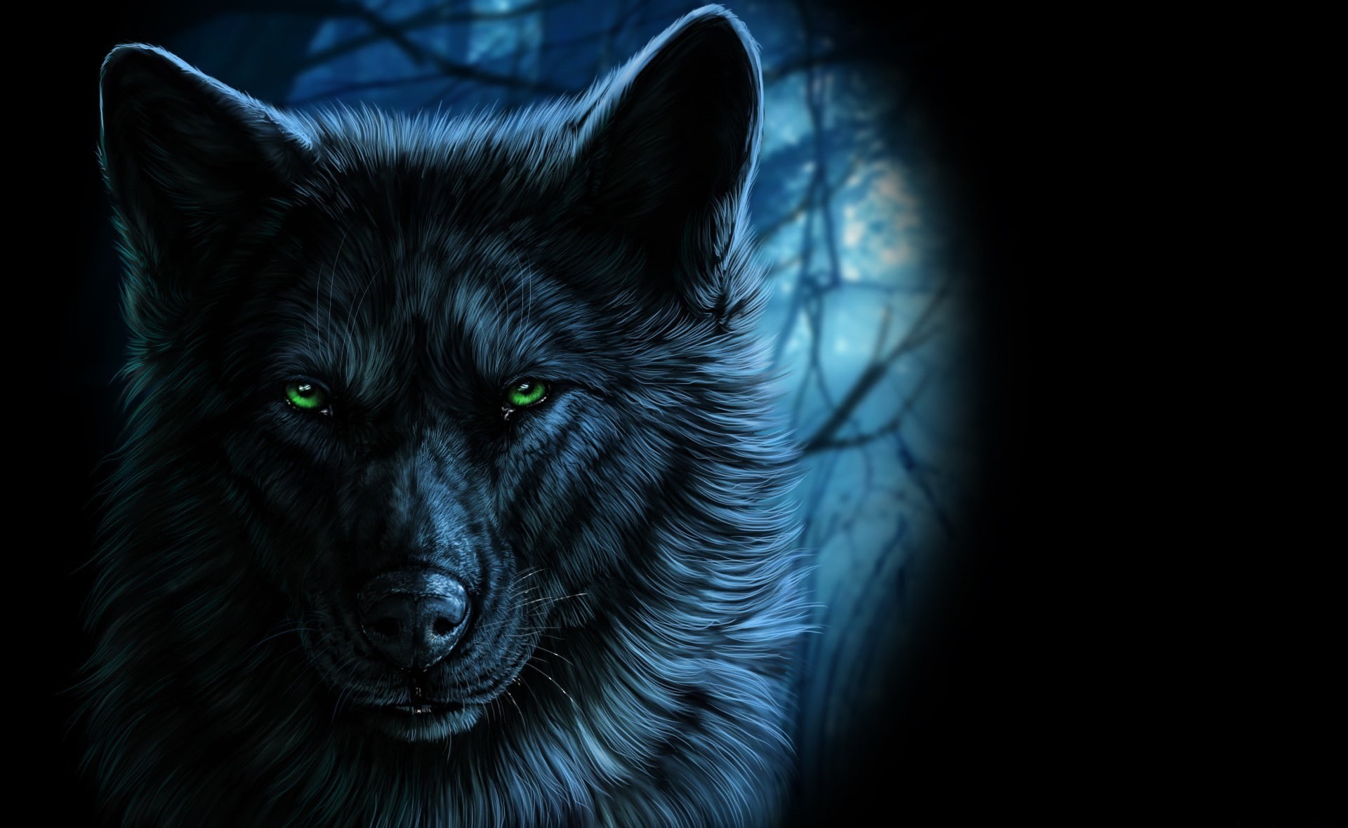 looking, 1080P, mammal, portrait, fantasy art, domestic, animal, pets, animal eye, dark, black color, vertebrate, close-up, artwork, night, no people, HD Wallpaper