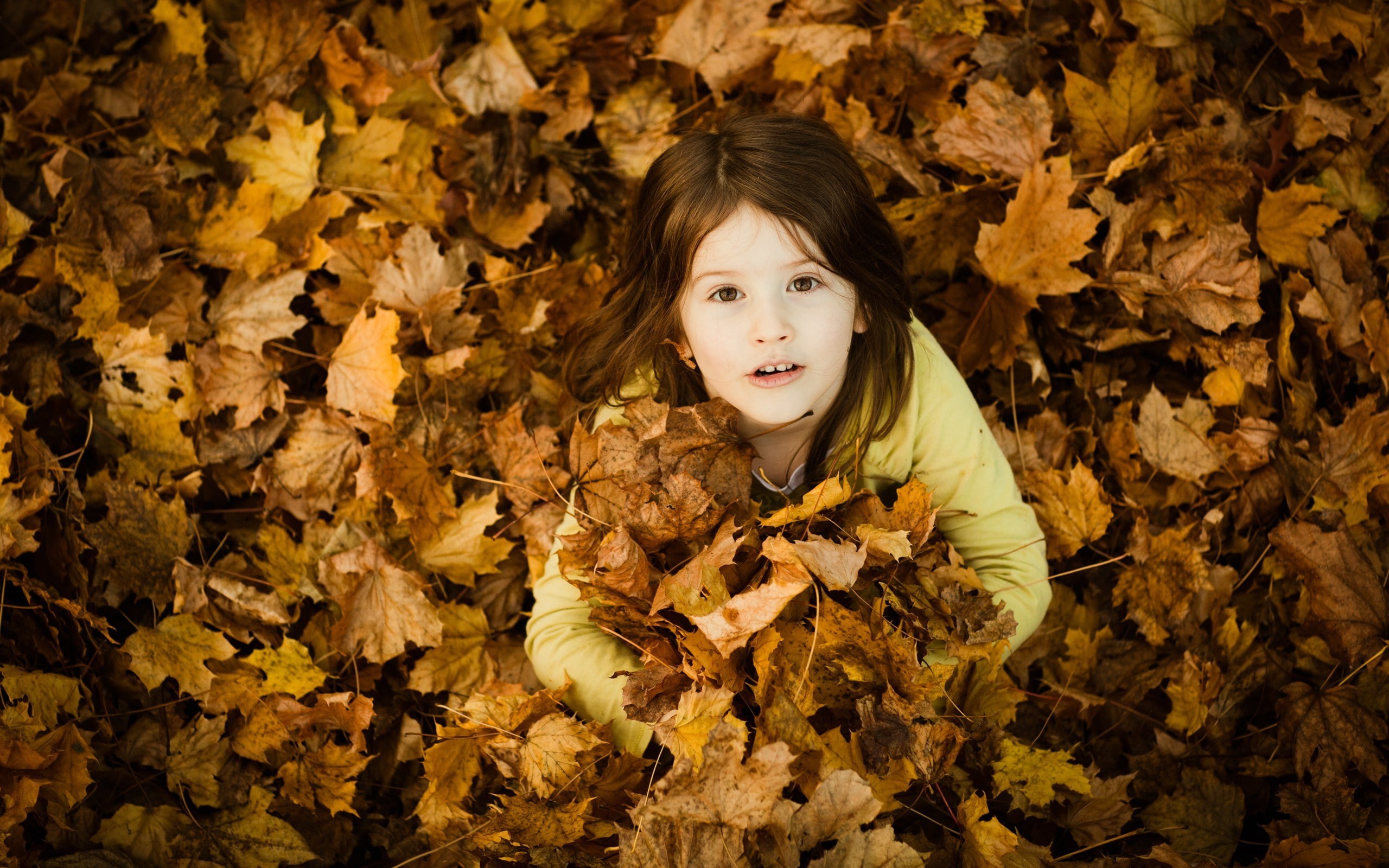 children, brunette, fallen leaves, little girl, top view, 2K, HD Wallpaper