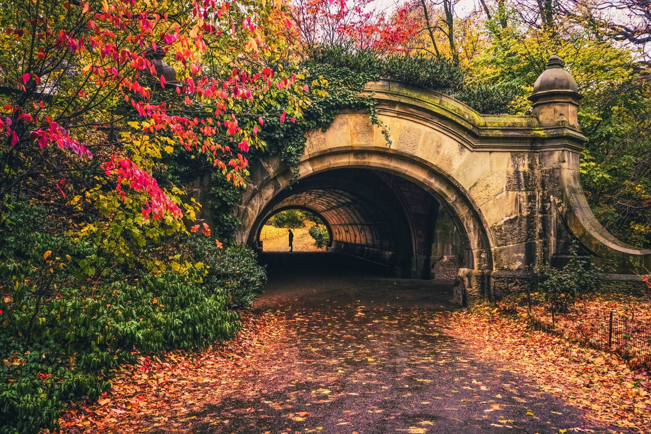 tunnel, park, 1080P, fallen leaves, leaves, red leaves, HD Wallpaper