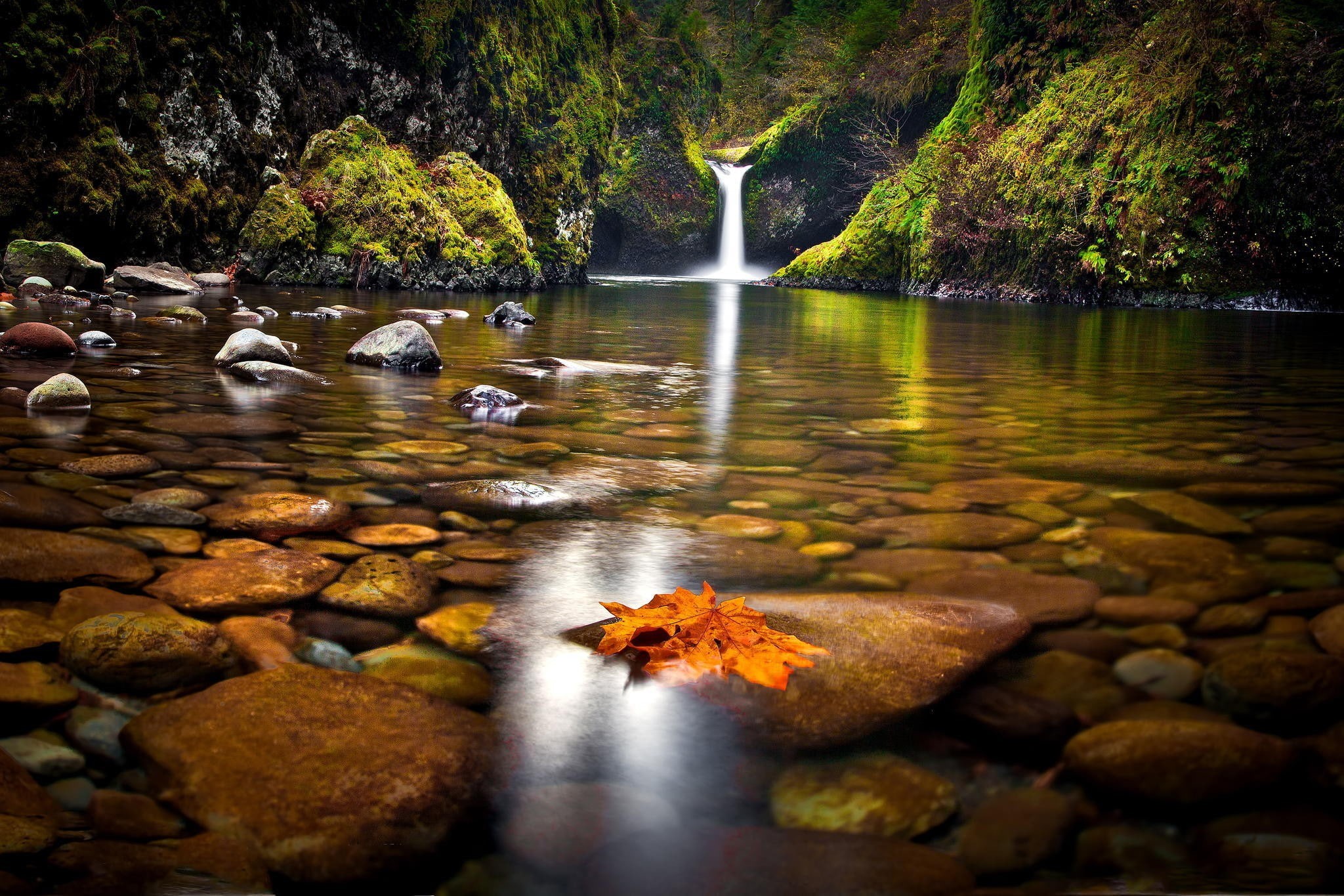waterfall, nature, fallen leaves, landscape, rocks, 1080P, moss, river, HD Wallpaper