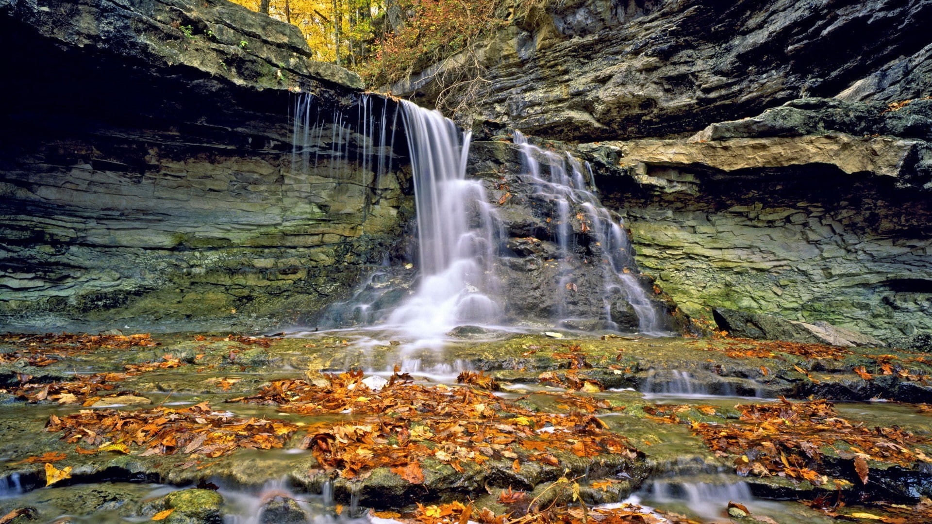 1080P, rock, fallen leaves, waterfall, landscape, stream, mountains, nature, HD Wallpaper