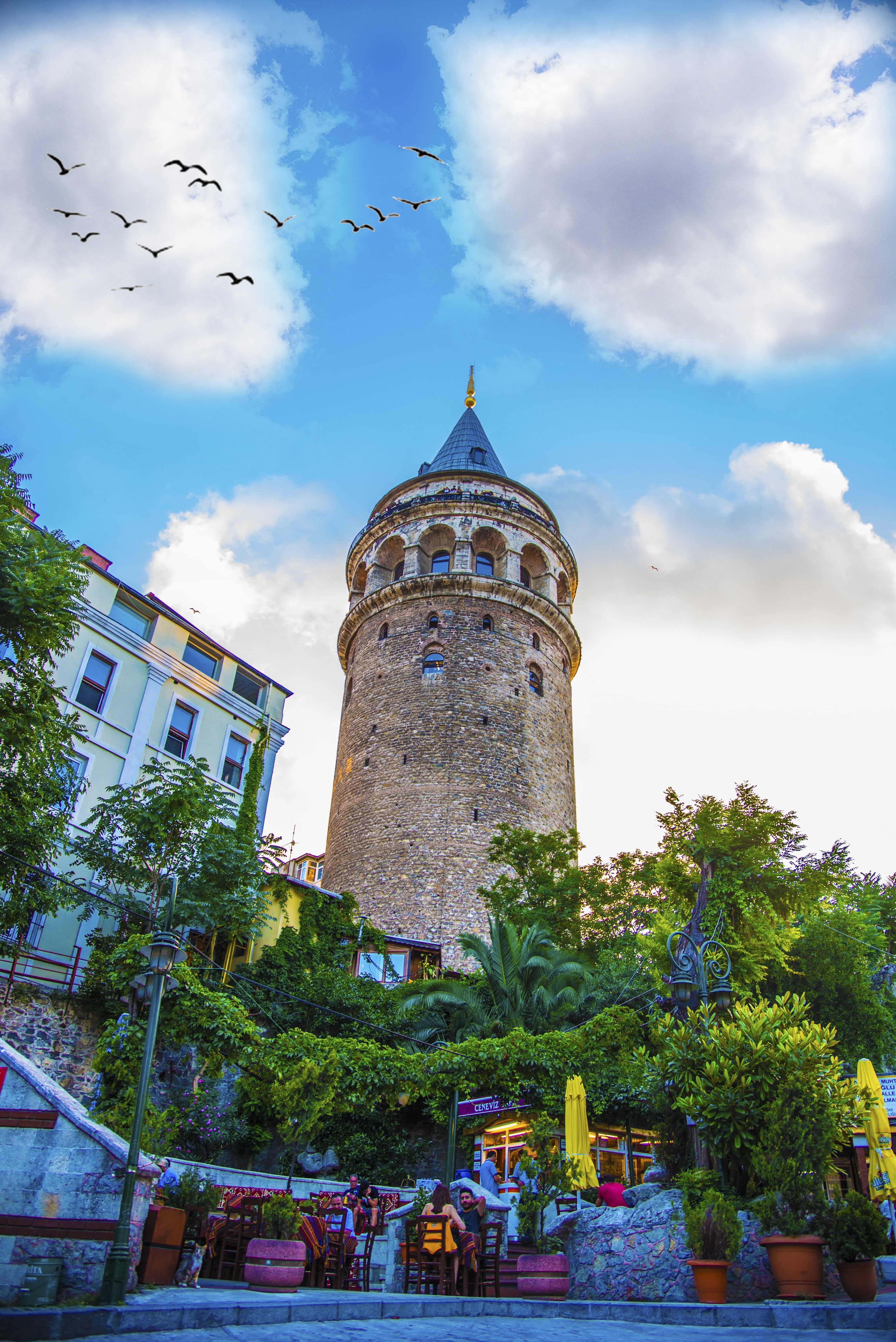 travel destinations, s, outdoors, famous Place, bird, istanbul, the past, day, vertebrate, nature, sky, turkey, light, landscape, cloud - sky, worm, building exterior, Phone HD Wallpaper