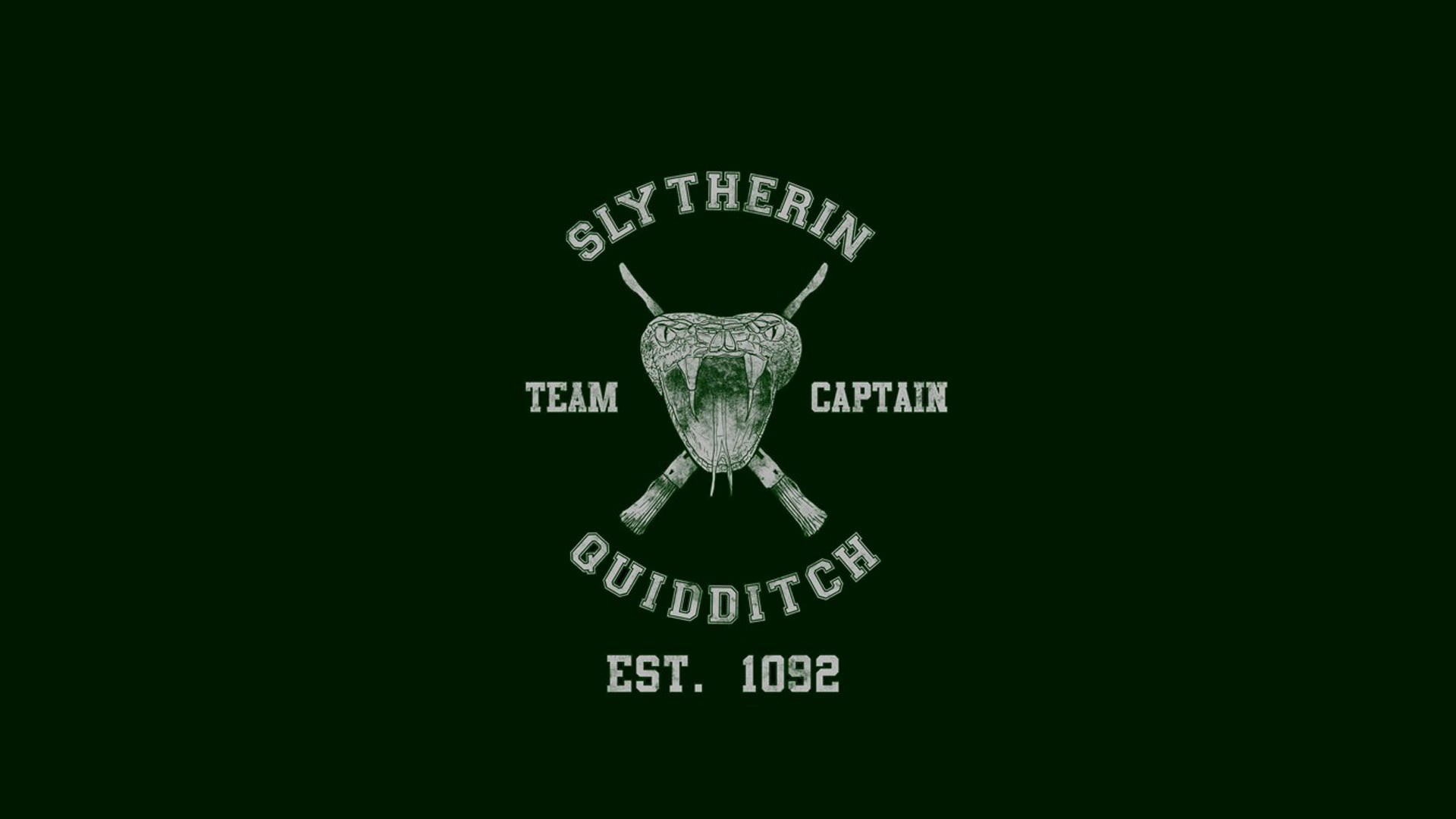 backgrounds, western script, Harry Potter, overlay, 1080P, copy space, no people, healthcare and medicine, technology, human representation, sign, Slytherin, HD Wallpaper
