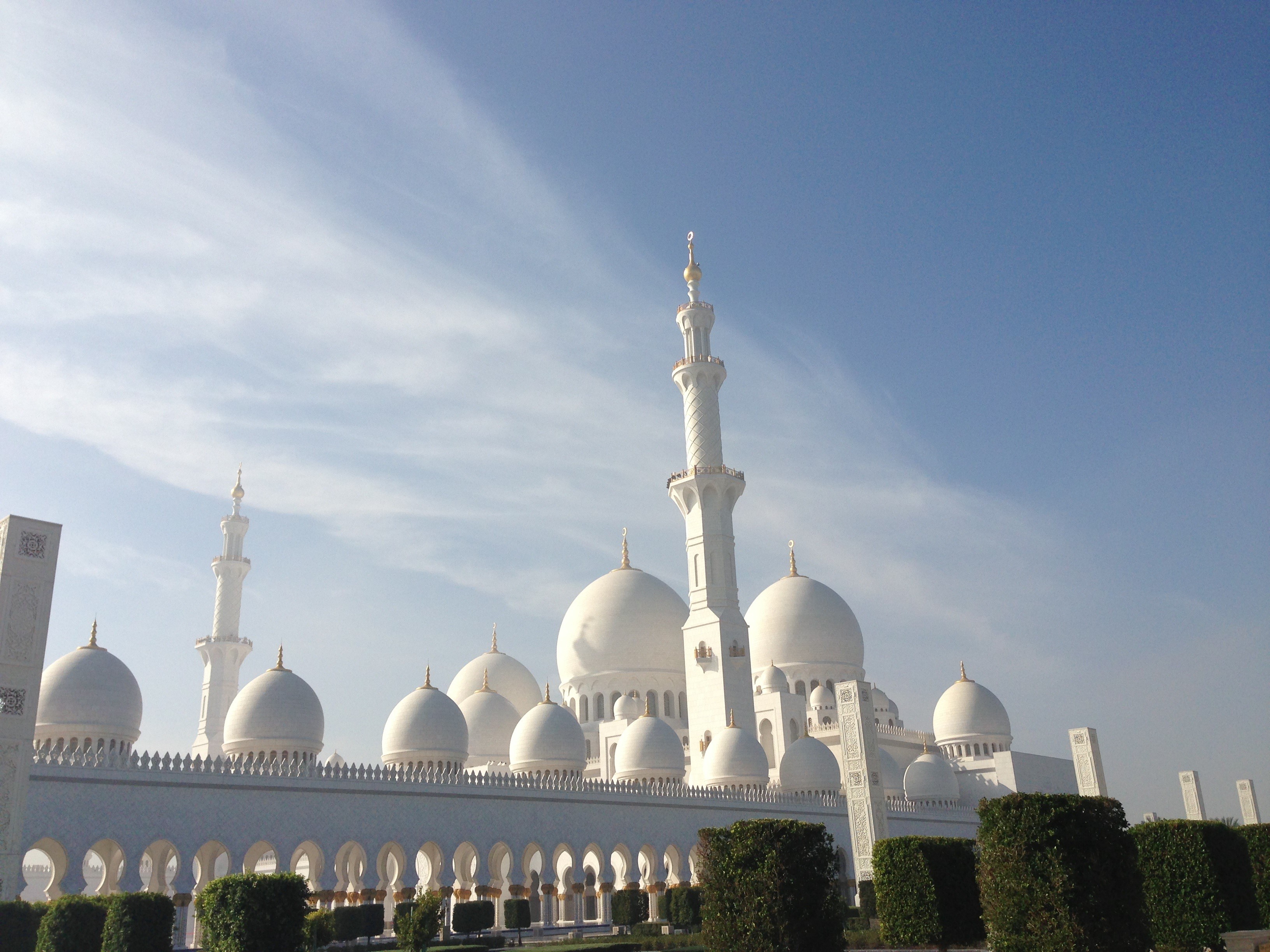 holiday, tree, arabic, built structure, travel, moshe, blue, city, art, plant, religion, nature, minaret, quran, sky, spirituality, taj, dome, 2K, belief, HD Wallpaper