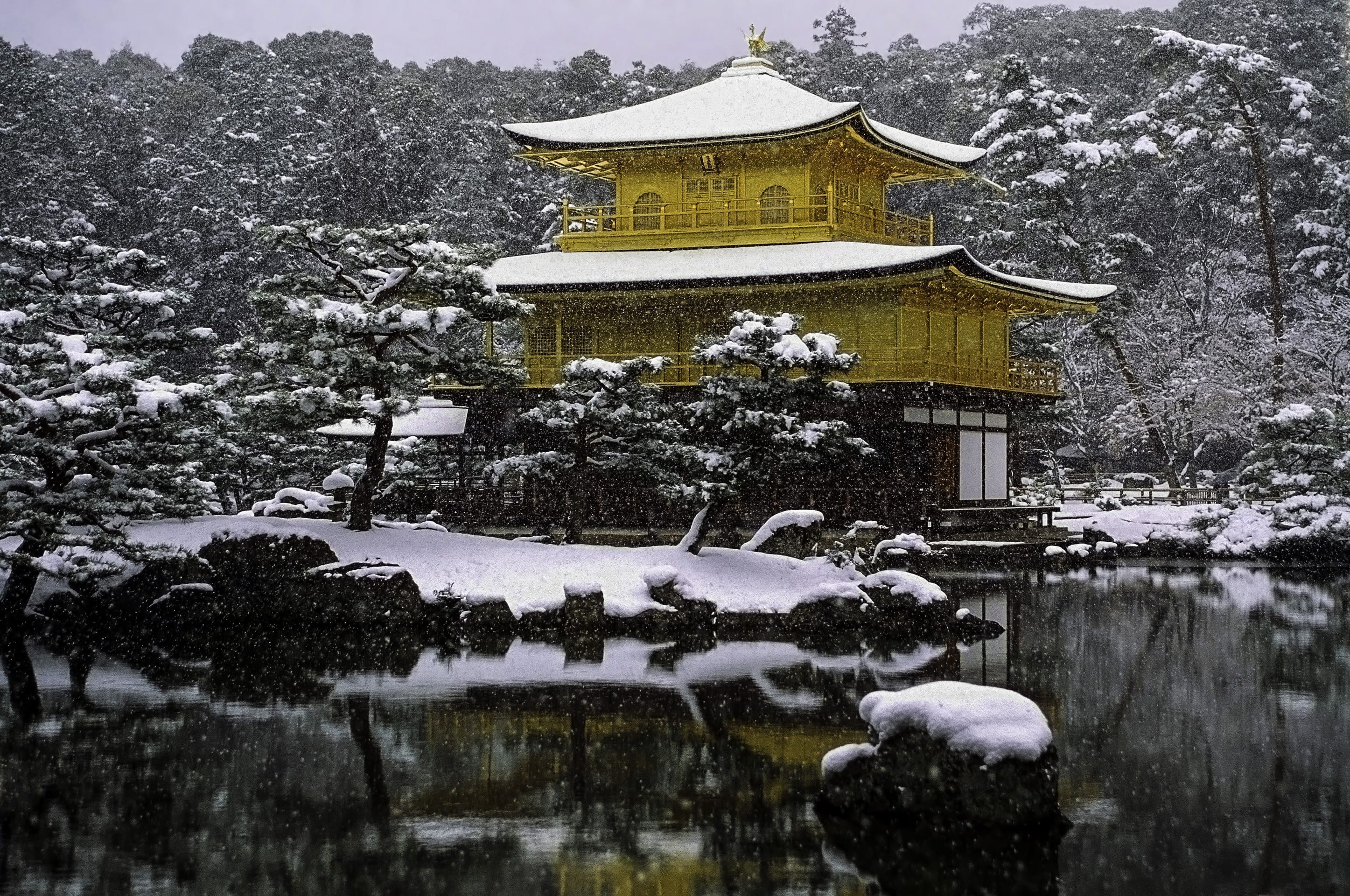 place of worship, far eastern, kyoto, 2K, ji in, no people, china - East Asia, nature, building, chinese Culture, Japan, tree, spirituality, history, architecture, HD Wallpaper