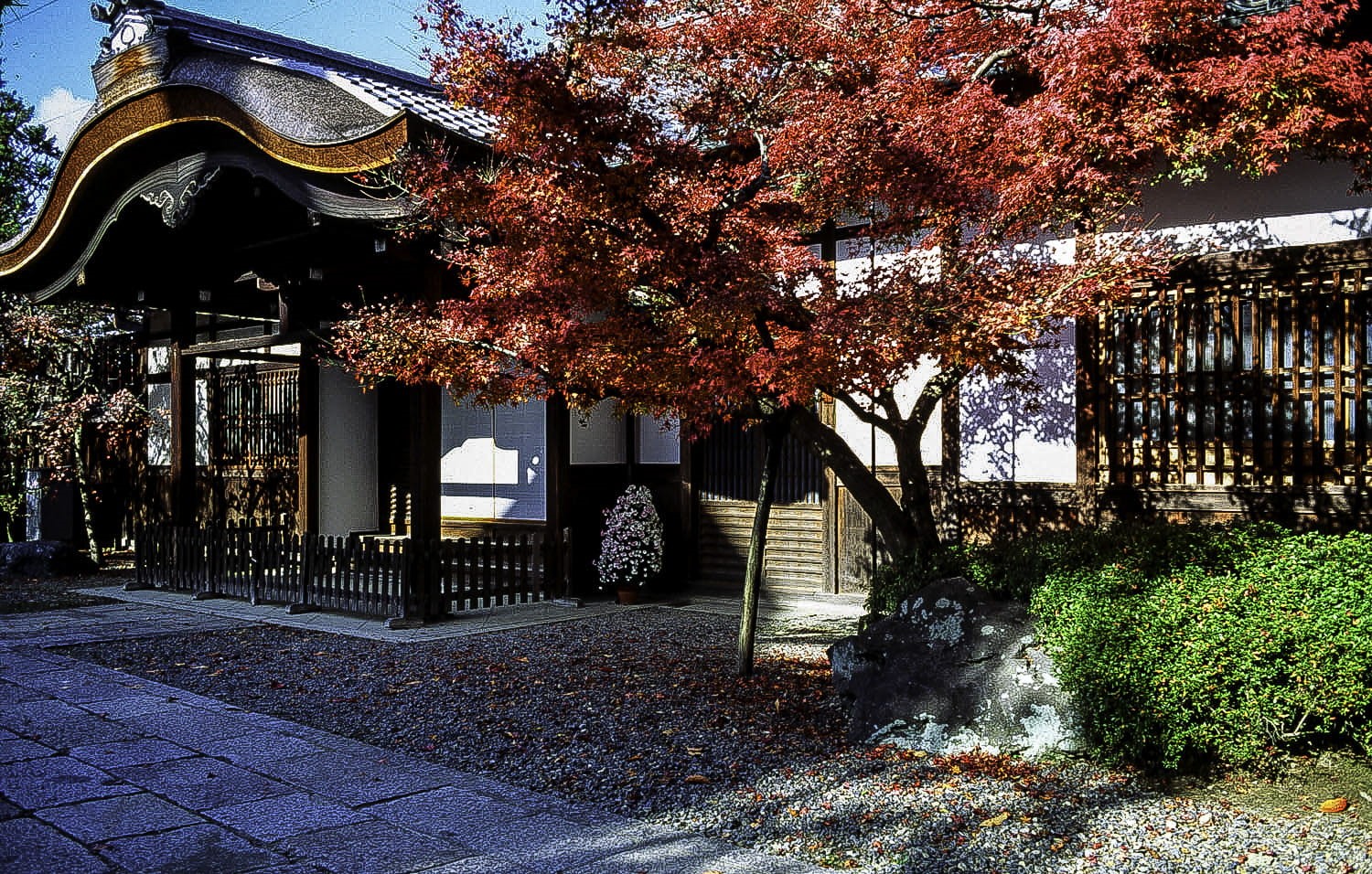 outdoors, beauty in nature, tree, Japan, cherry tree, formal Garden, change, footpath, day, built structure, trees, architecture, flowering plant, japanese Culture, HD Wallpaper