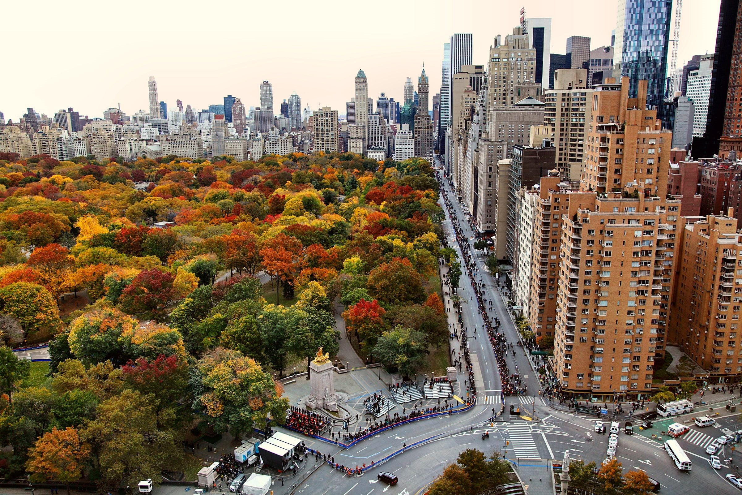 USA, green, field, urban Scene, asia, New York City, building, city Life, 1080P, famous Place, office Building, plants, sports, transportation, birds eye view, HD Wallpaper