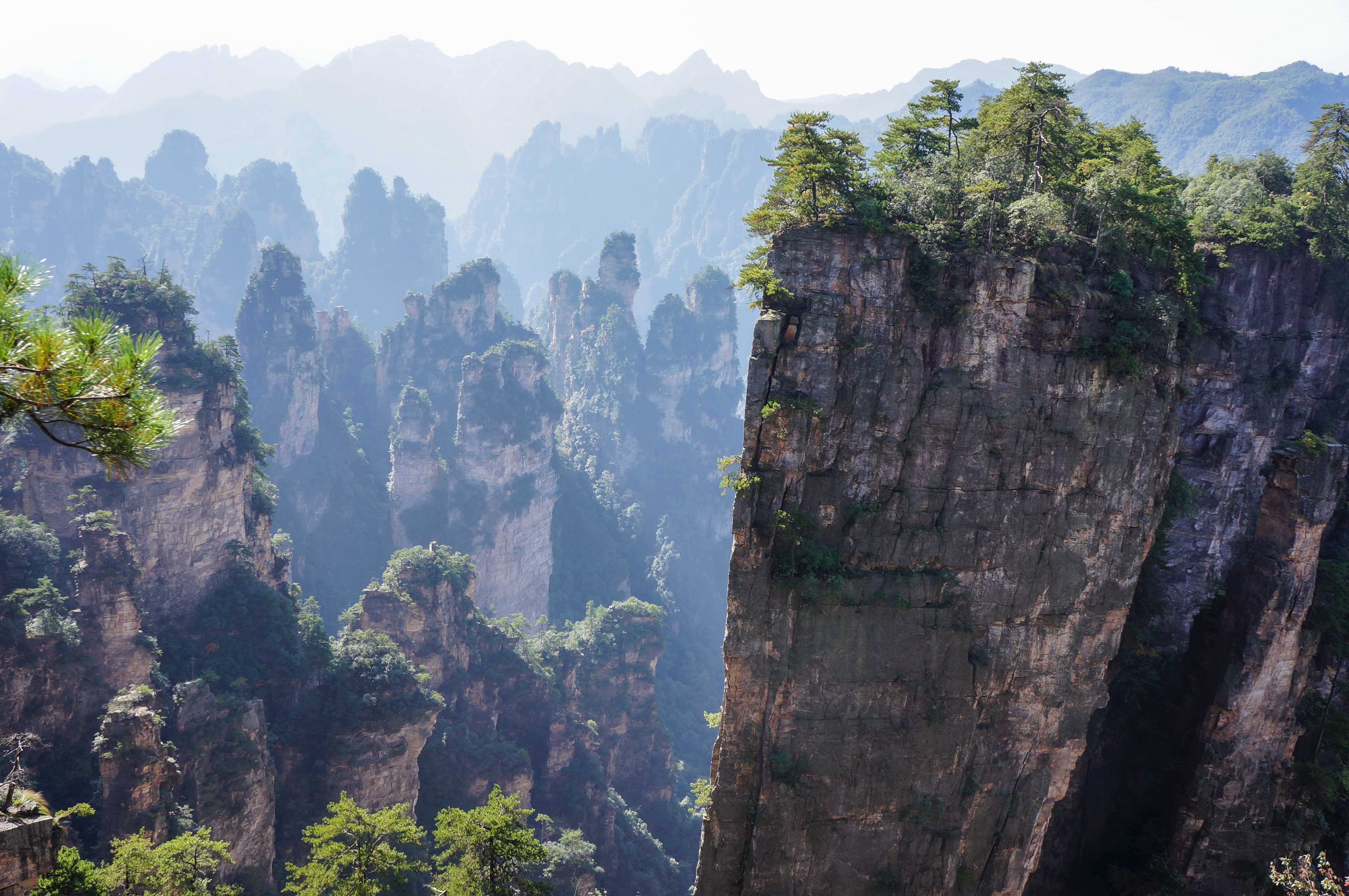 plant, hunan Province, travel, formation, photography, cliff, scenics - nature, famous Place, tranquility, eroded, zhangjiajie, nature, solid, scenics, HD Wallpaper