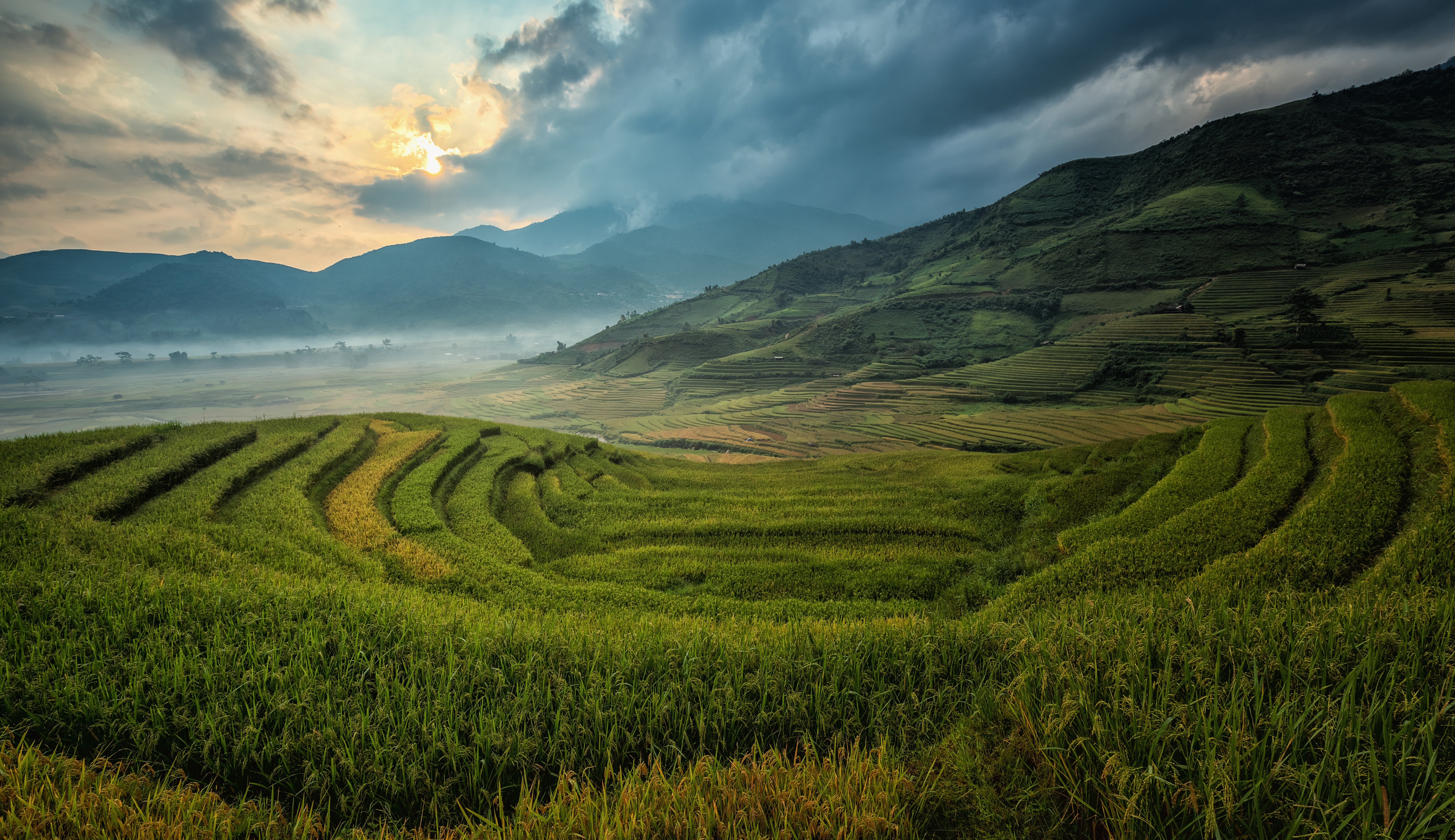 plantation, nature, coarse, asia, soil, tour, cloud - sky, canyons, yellow, china, culture, line, sapa, green, landscape, home, rice - cereal plant, saigon, HD Wallpaper
