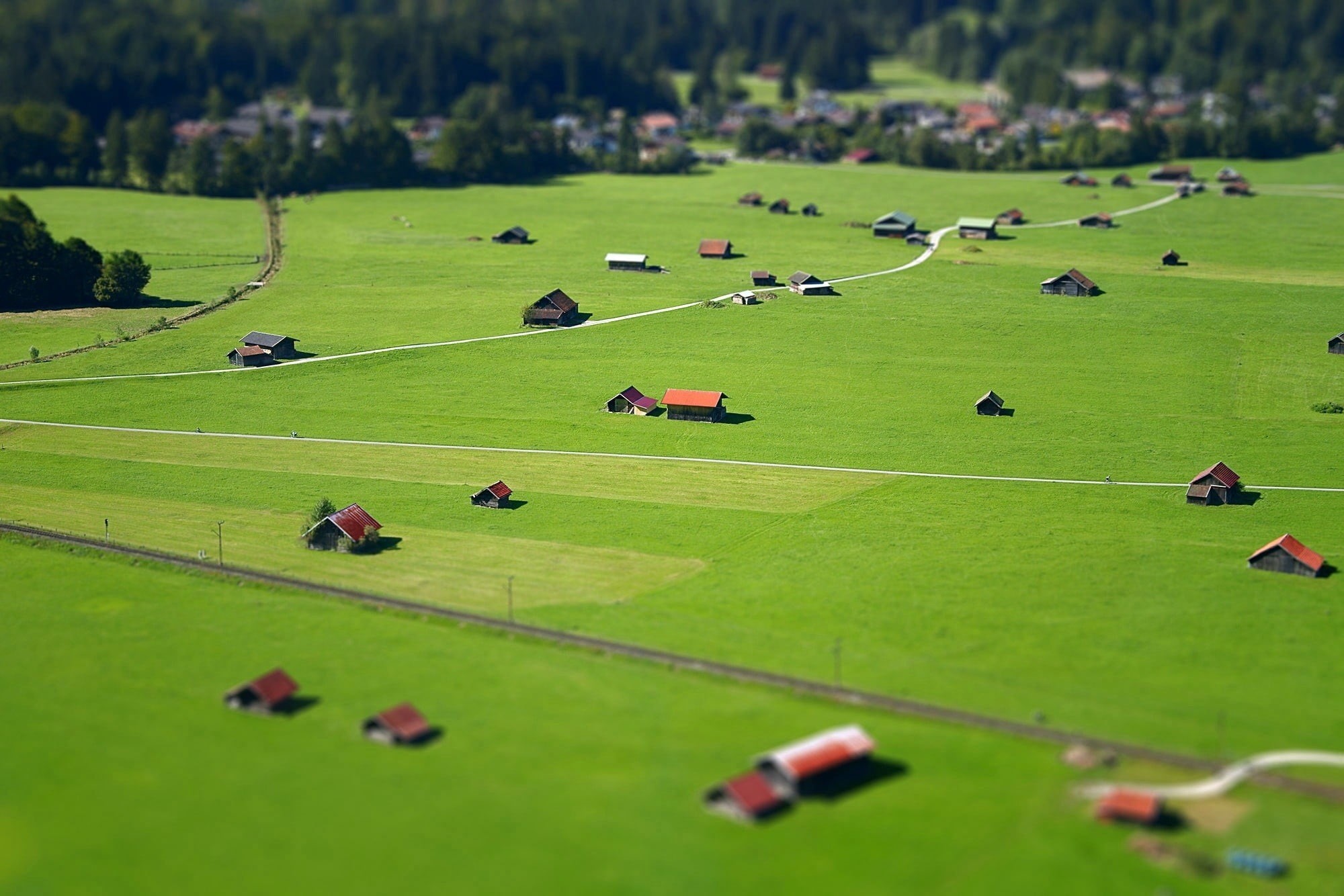 land, scenics - nature, green Color, plant, photo, no people, outdoors, day, minimalism, green - golf course, tilt-shift, summer, golf, farm, grass, 1080P, HD Wallpaper