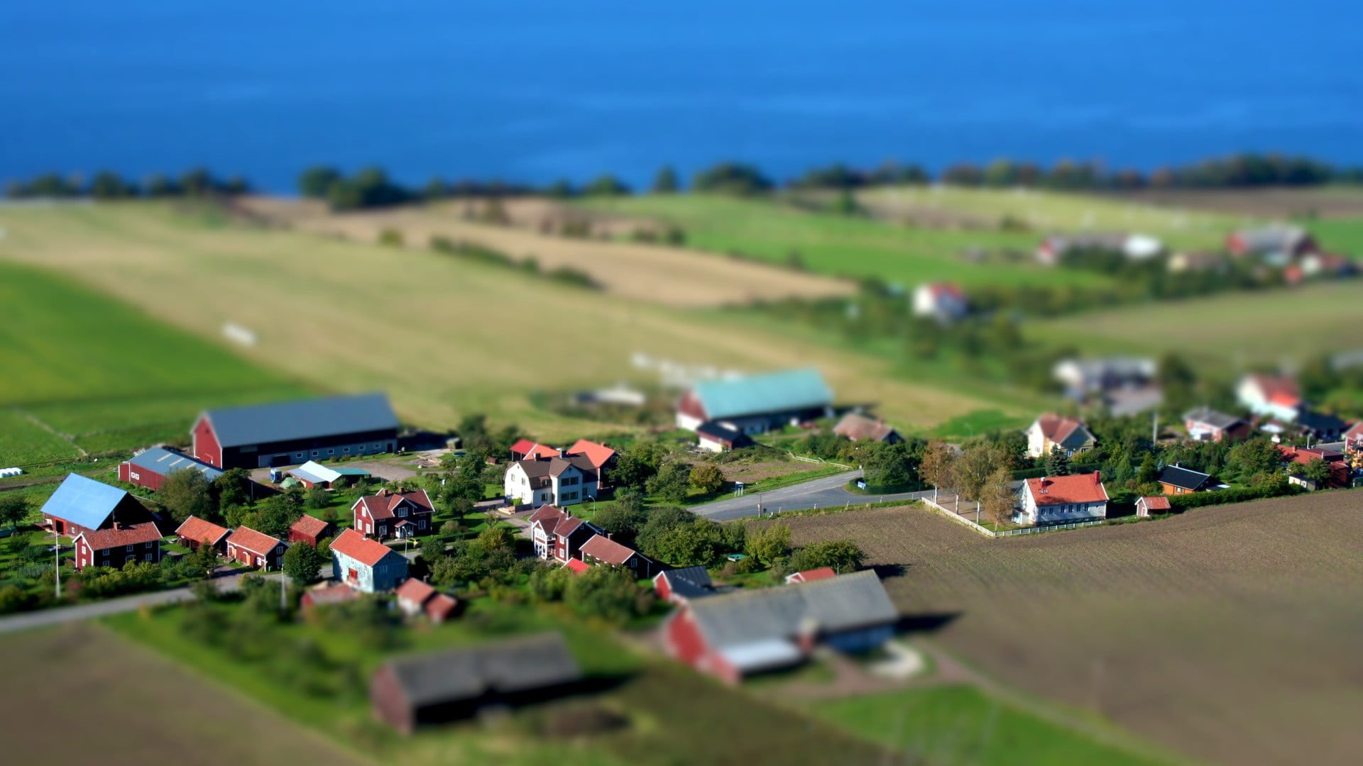 tree, rural Scene, nature, green Color, farm, scale, roof, houses, tilt shift, environment, shift, scenics - nature, scenics, non-Urban Scene, residential, HD Wallpaper