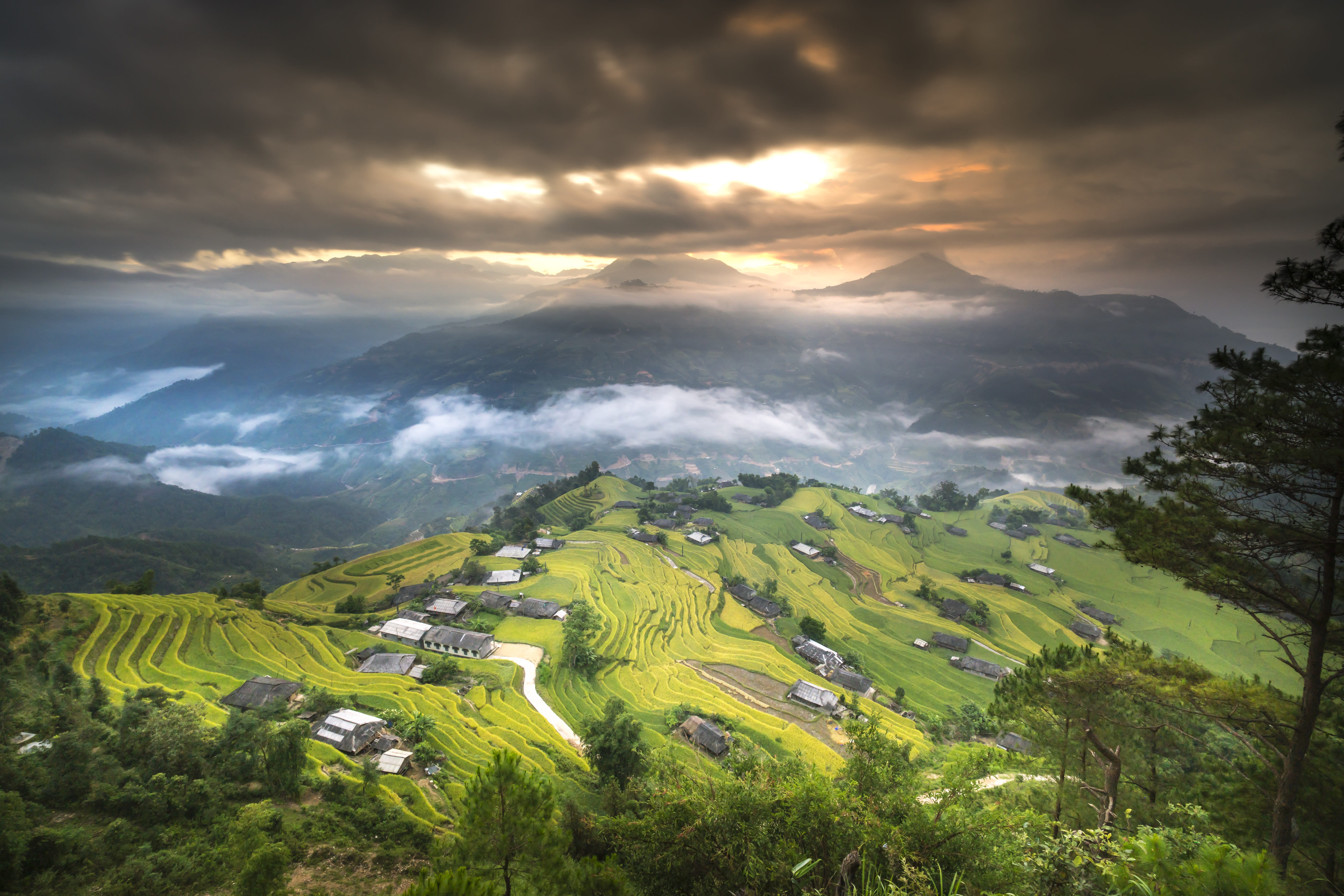 travel, local, field, ha giang, beauty in nature, the landscape, land, green color, outdoors, scenics - nature, plant, tranquil scene, growth, clouds, tree, HD Wallpaper