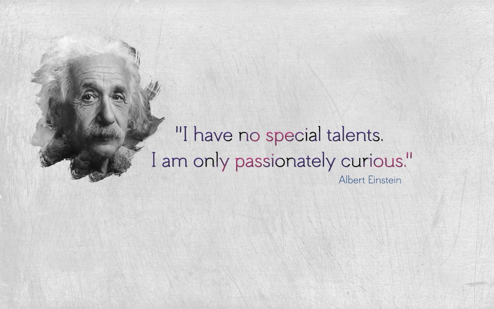 one animal, science, albert, looking at camera, people, pets, portrait, message, communication, domestic animals, fun, paper, mammal, einstein, history, HD Wallpaper