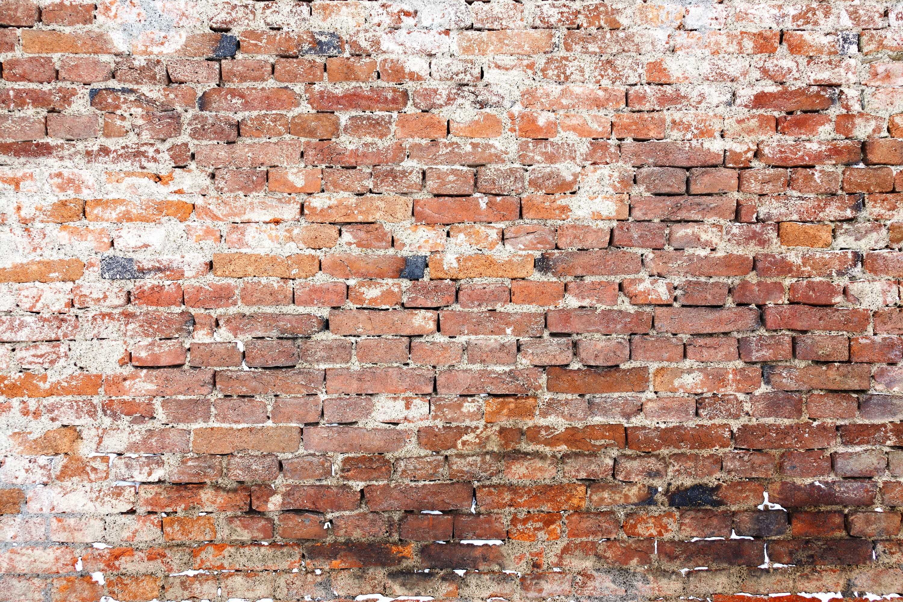 urban, cement, deterioration, day, old, built structure, backgrounds, run-down, stone wall, architecture, textured, block, weathered, wall, full frame, HD Wallpaper