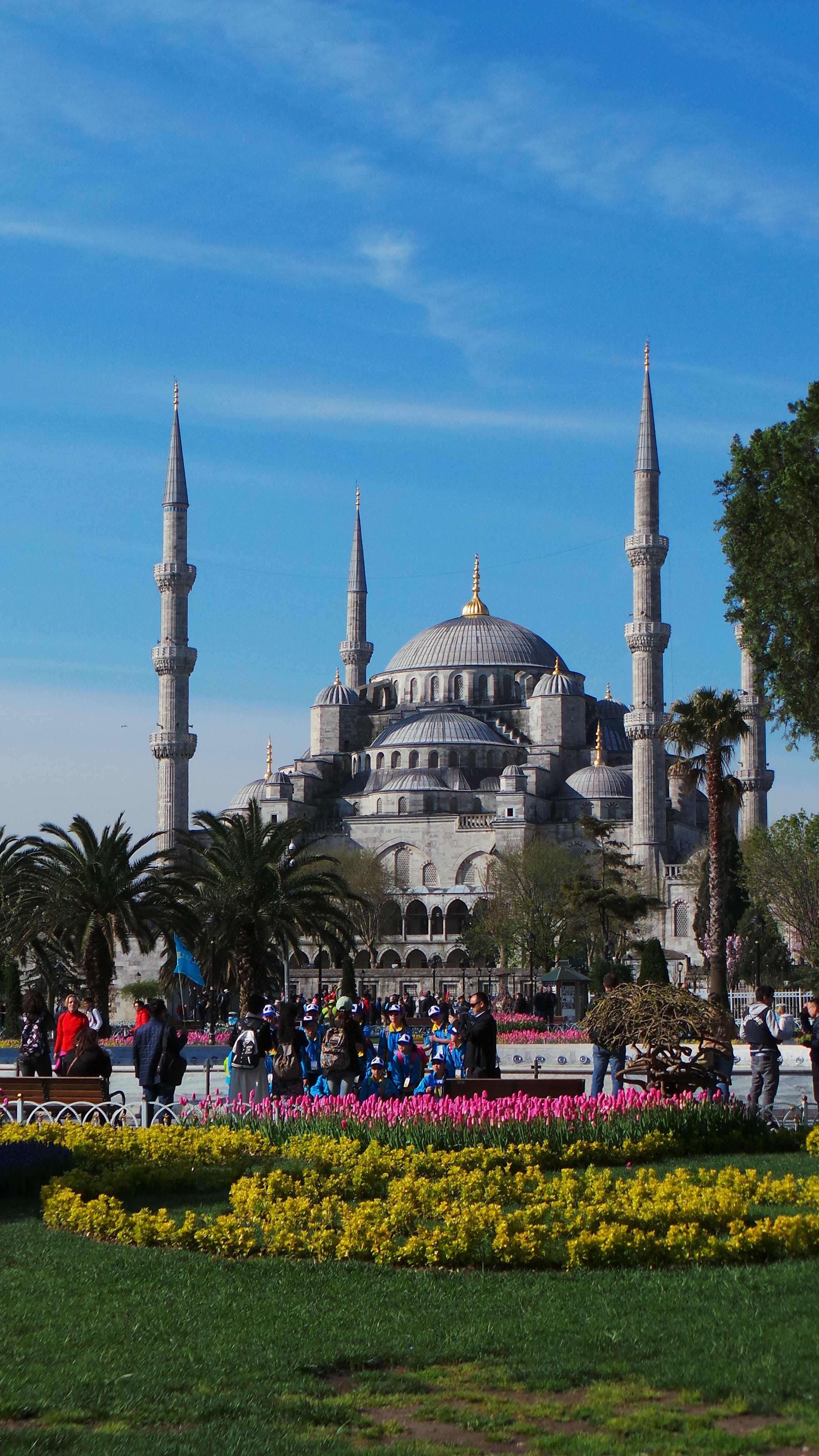 building, turkey - Middle East, cultures, plant, architecture And Buildings, spire, ottoman Empire, building Exterior, travel, 4K, famous Place, dome, Phone HD Wallpaper