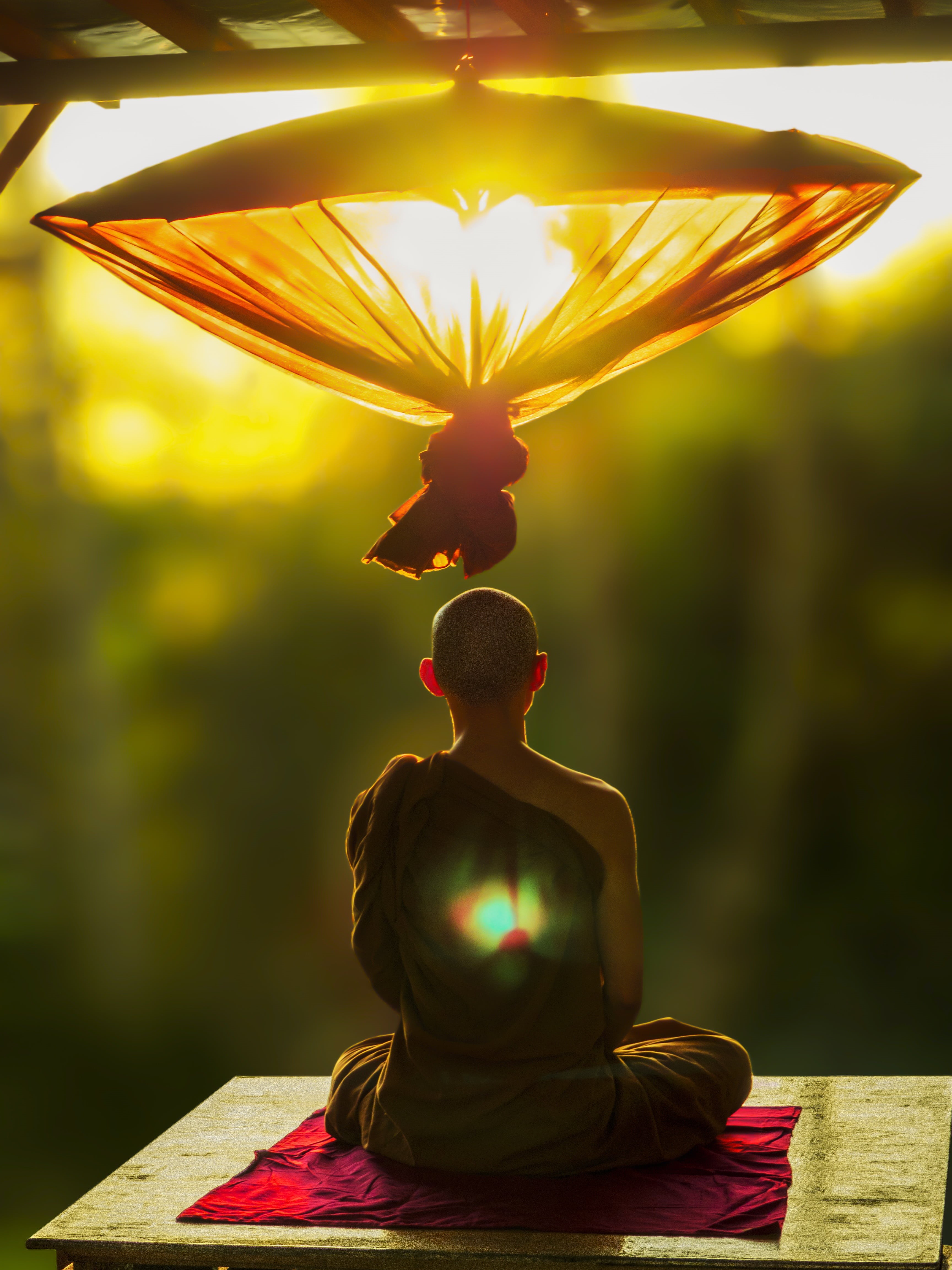 belief, temple, representation, umbrella, people, meditating, plant, dusk, traditional, day, theravada, theravada buddhism, statue, happiness, meditate, Phone HD Wallpaper