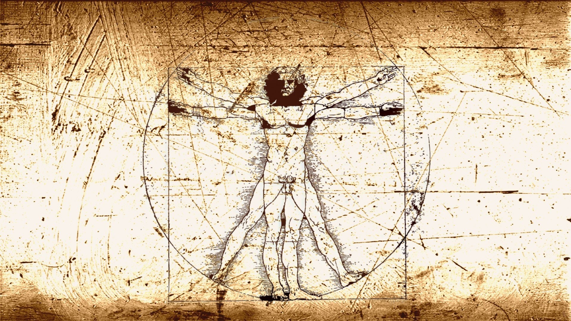 1080P, leonardo, man, vinci, vitruvian, HD Wallpaper