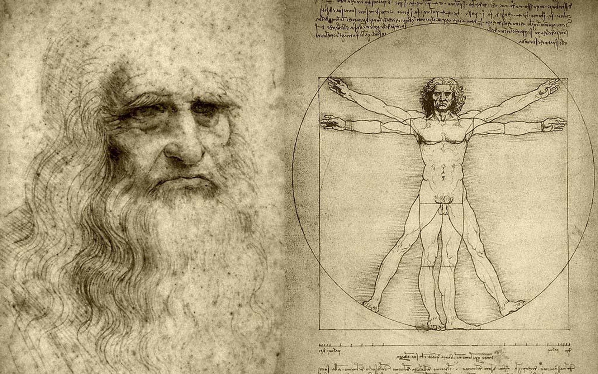 man, vinci, leonardo, vitruvian, 1080P, artwork, HD Wallpaper