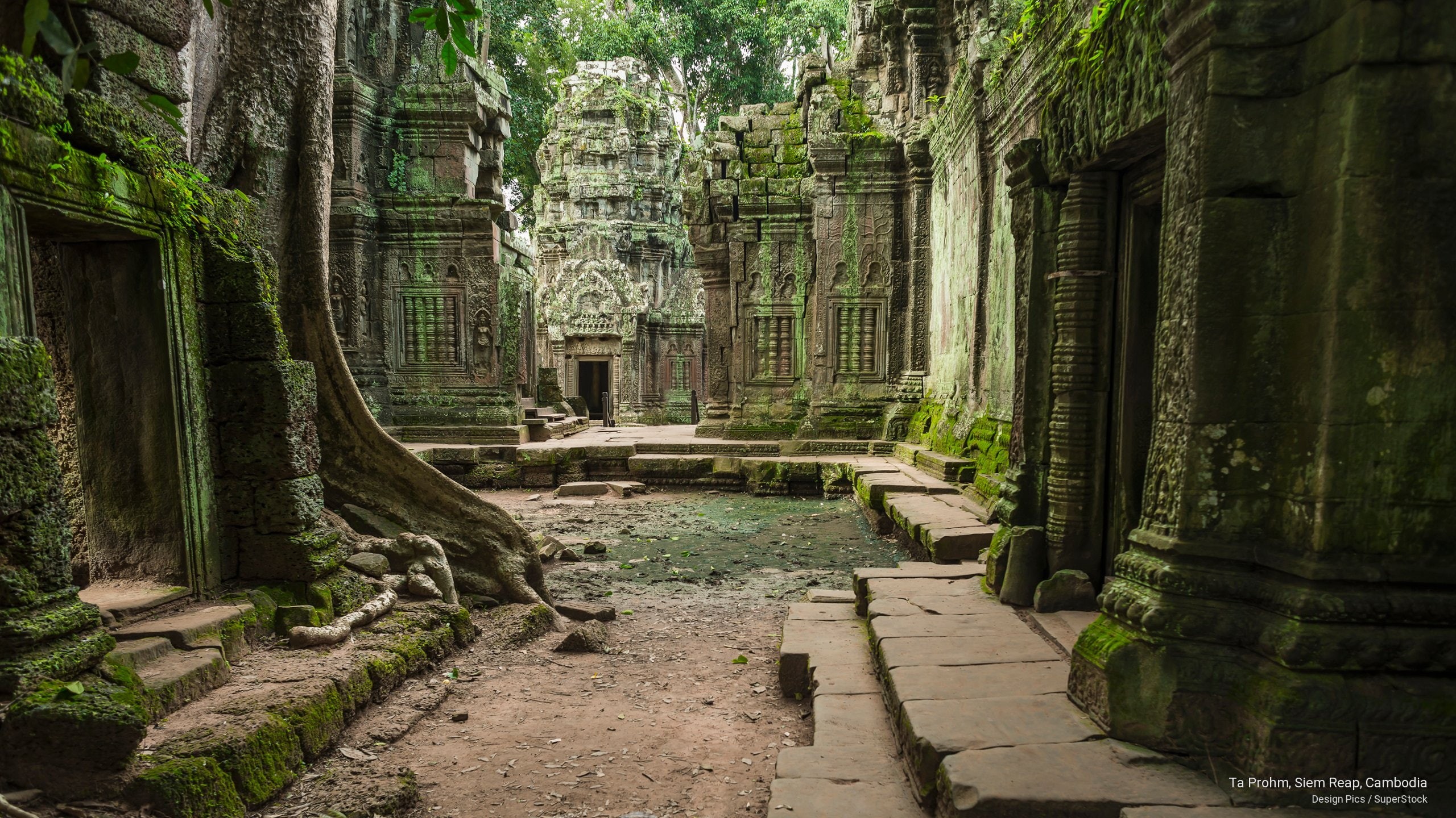 2K, cambodia, reap, Asia, prohm, ta, siem, HD Wallpaper