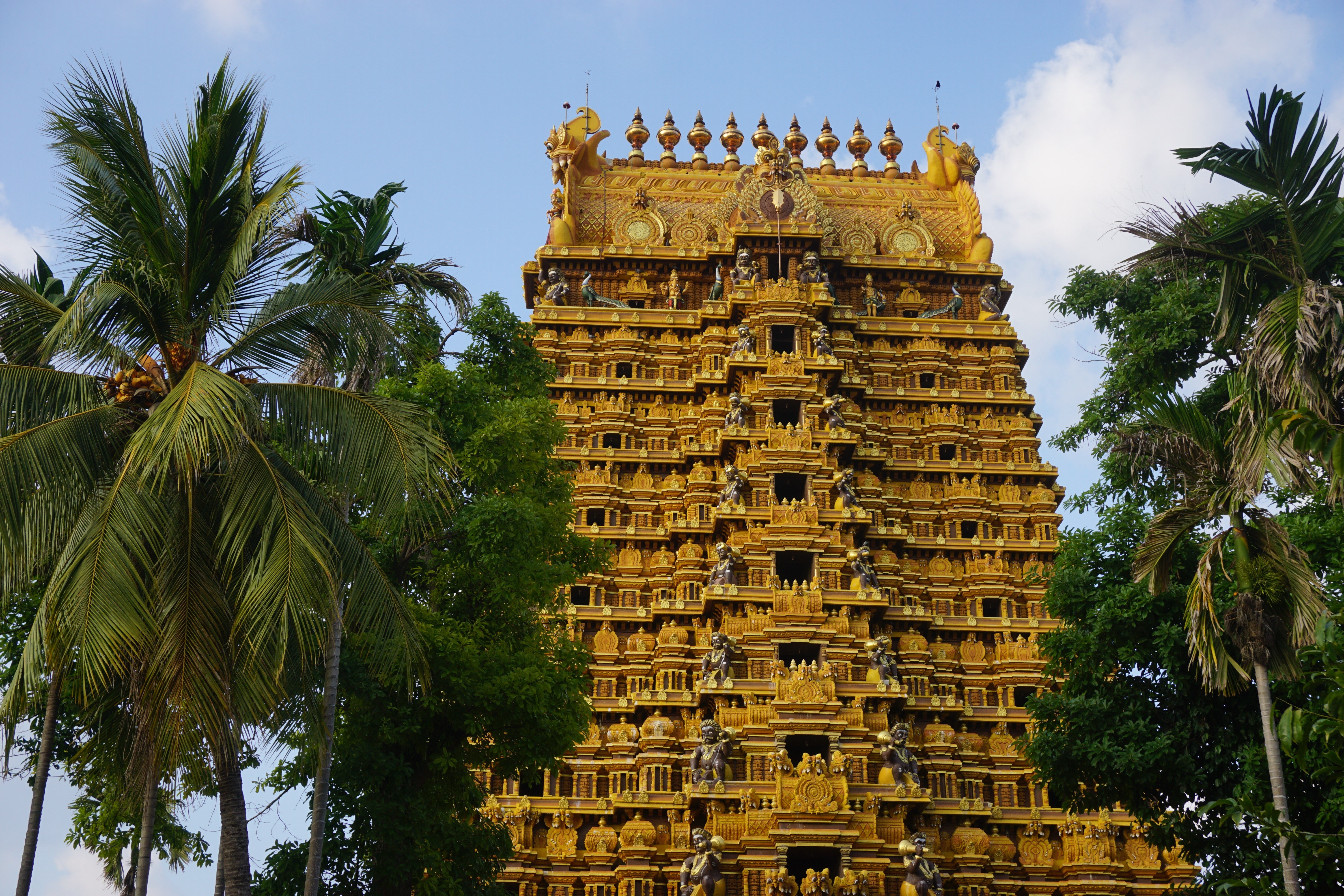culture, jaffna, low angle view, plant, travel, famous Place, no people, palm tree, day, travel destinations, temple, cultures, architecture, building, HD Wallpaper