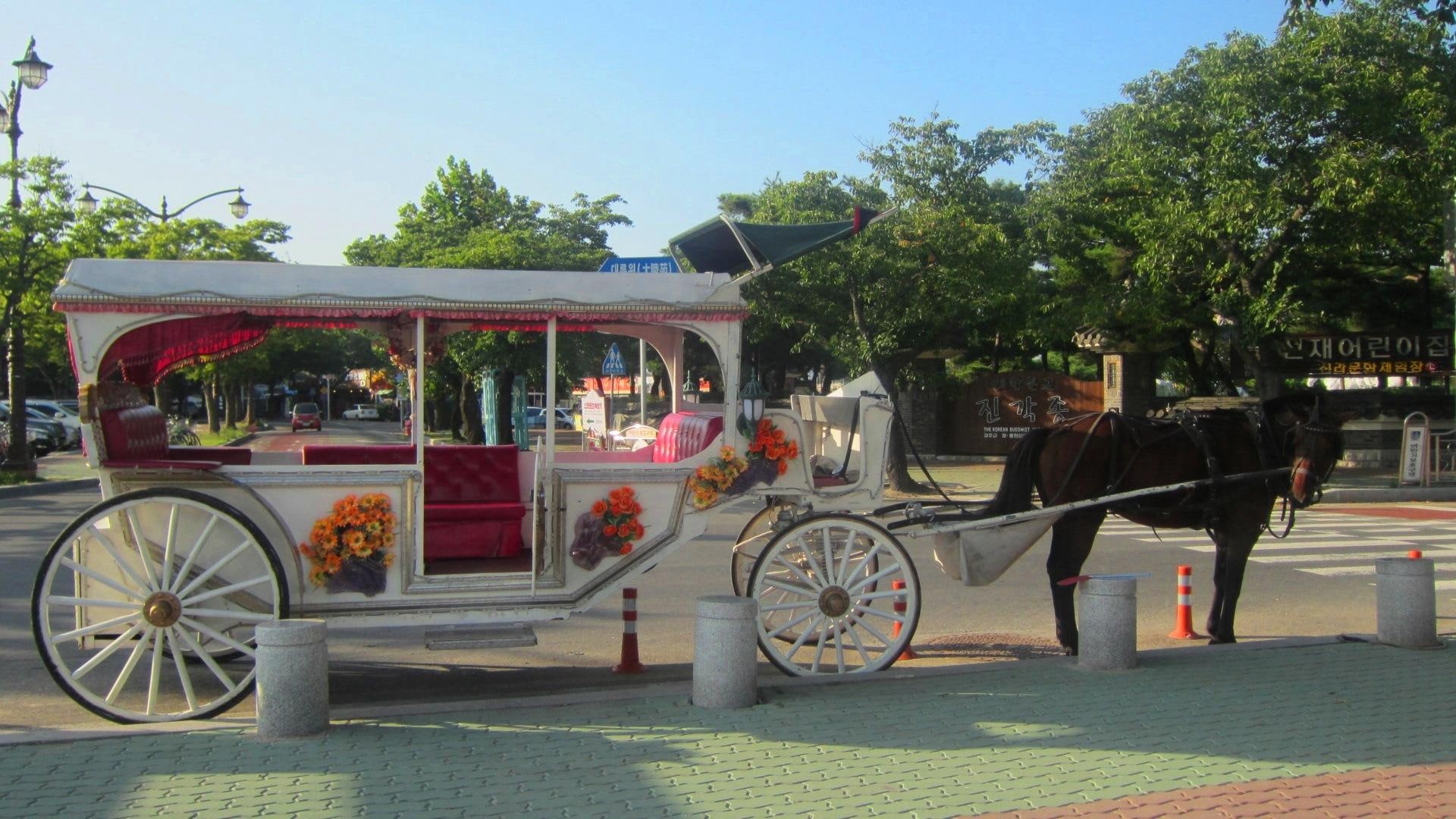 korea, gyeongju, 1080P, carriage, tourism, travel, horse, HD Wallpaper
