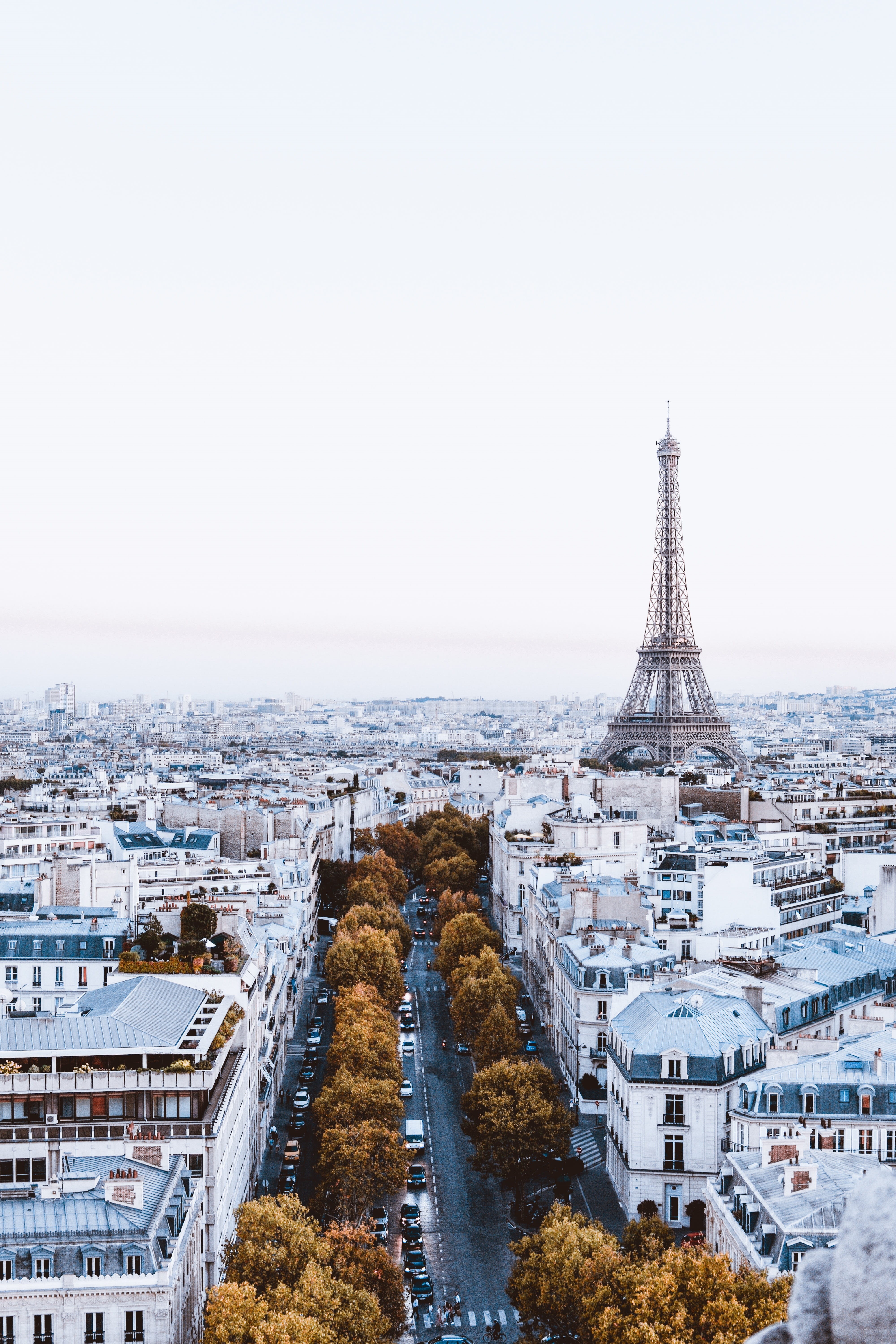 copy space, high angle view, 5K, eiffel, monument, tourism, tower, building exterior, for girls, cityscape, nature, day, street, travel destinations, Phone HD Wallpaper