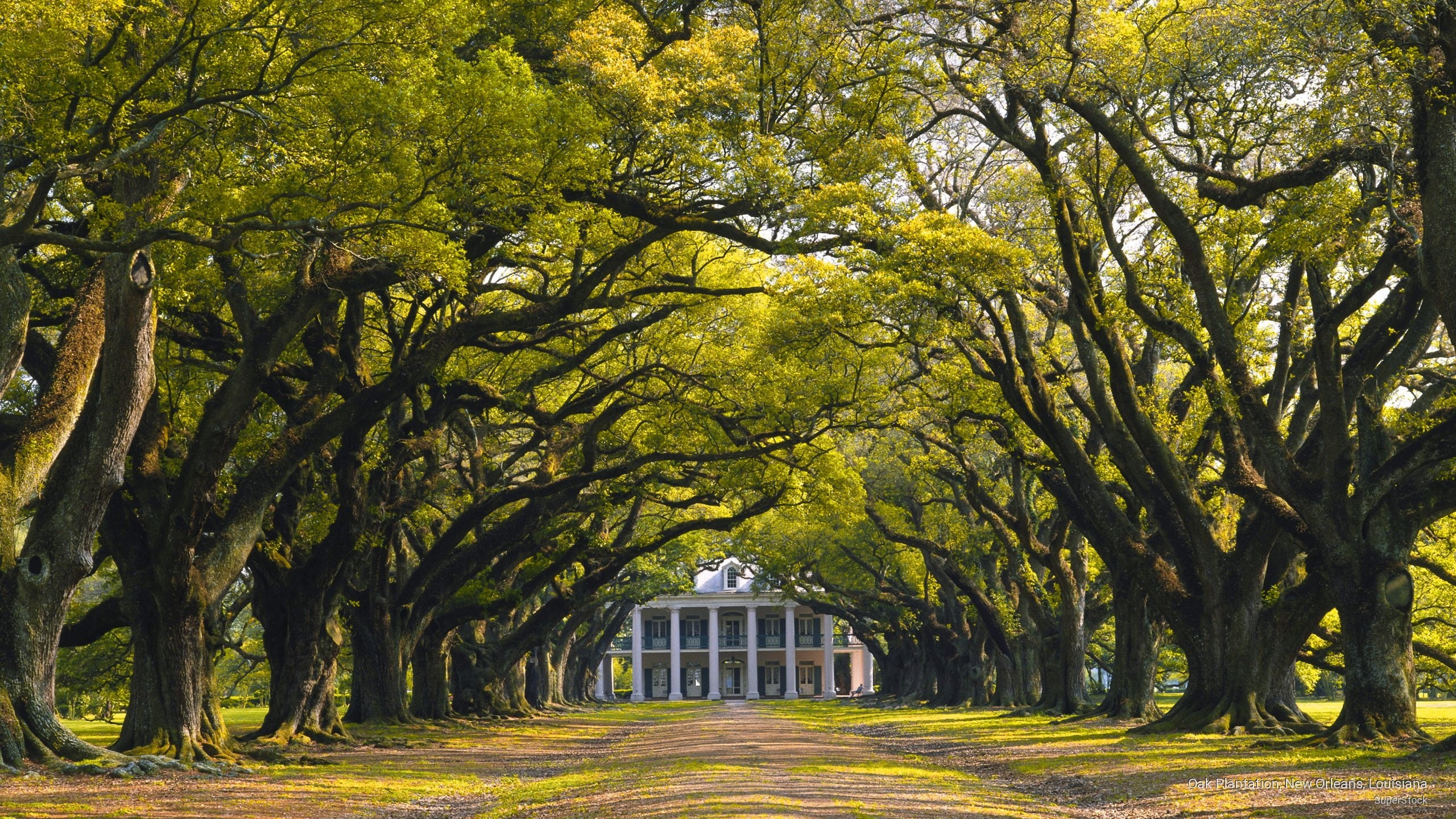 Architecture, 2K, new, louisiana, plantation, oak, orleans, HD Wallpaper