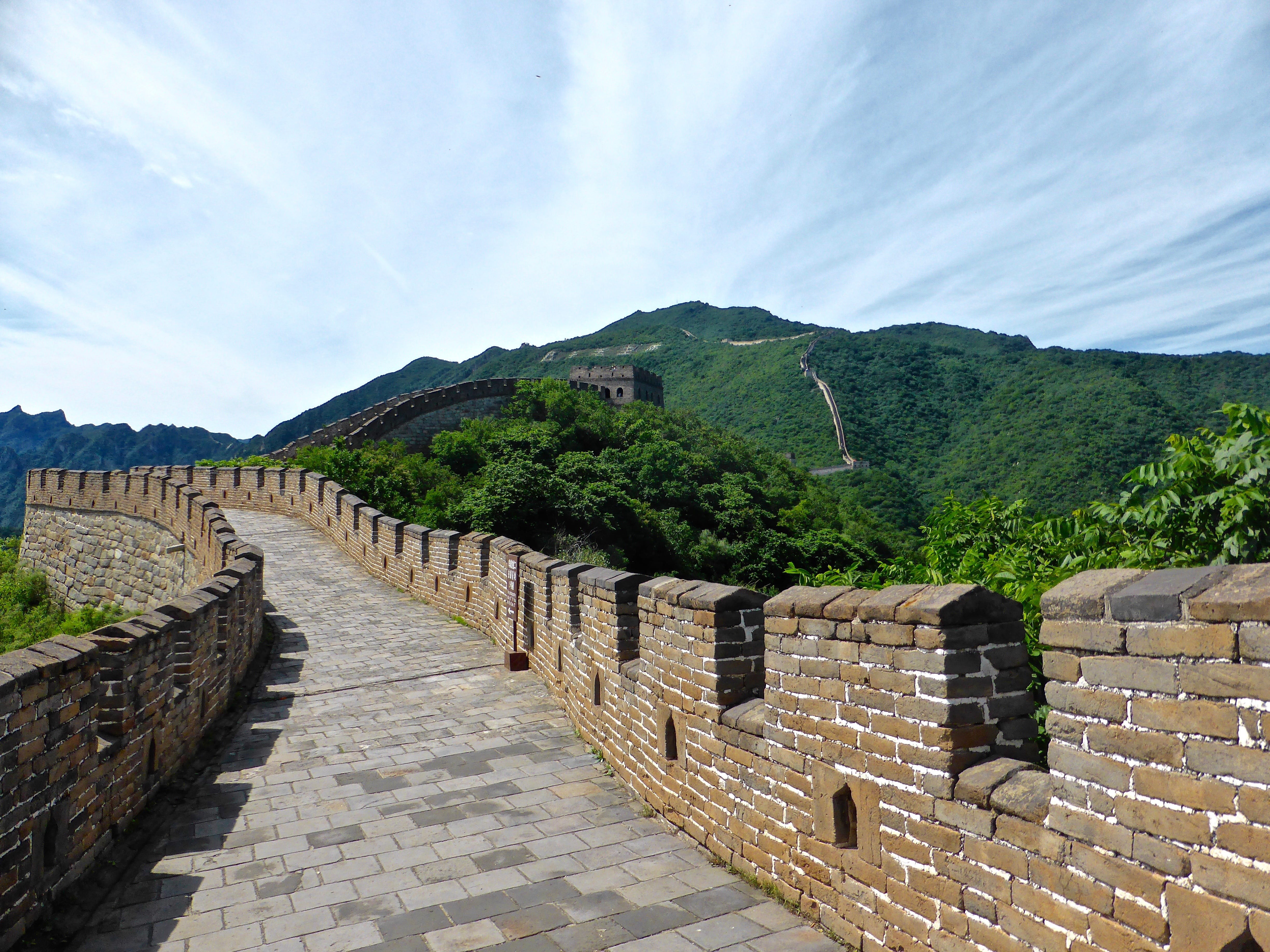border, the way forward, footpath, the past, landscape, stone, plant, landmark, direction, defense, china, great, structure, monument, travel destinations, HD Wallpaper