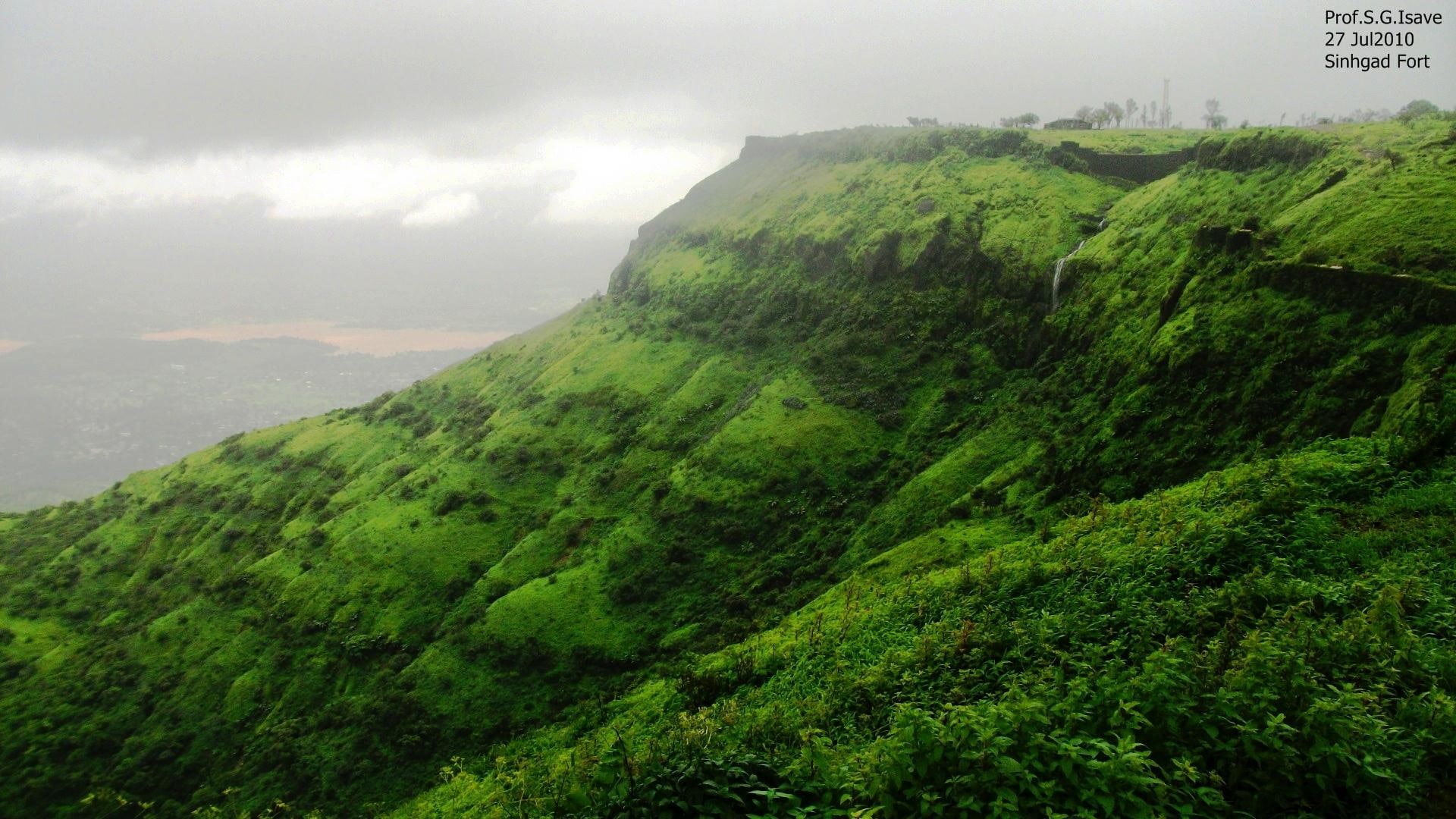 fort, green, nature, mula-mutha, animals, forts arround pune, picnic spots, pune, india, 1080P, shrubs, grasses, sinhgad, isave sir, HD Wallpaper
