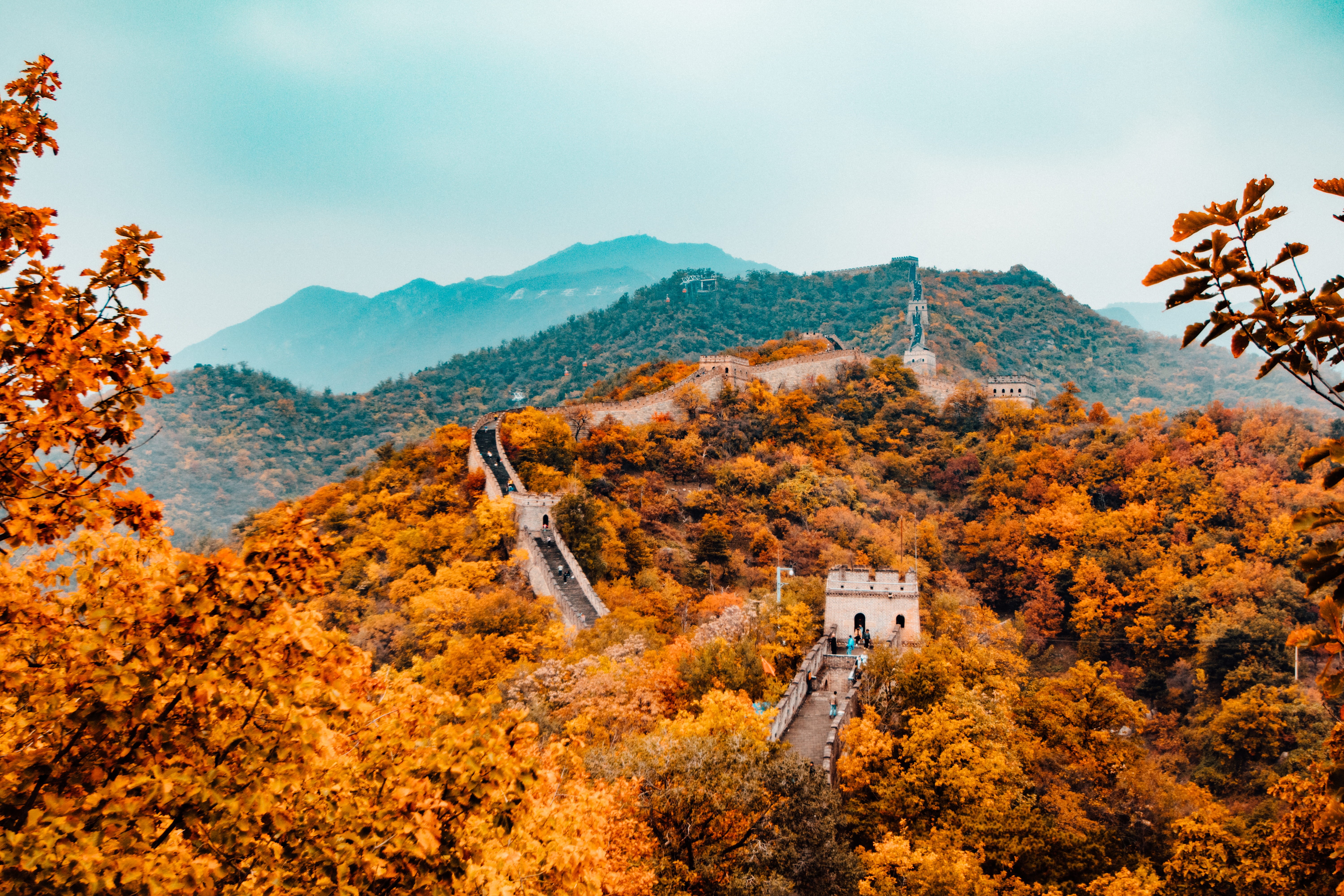 building, great wall of china, environment, nature, autumn collection, mountain, scenics - nature, wall, china, great, day, 5K, travel destinations, plant, HD Wallpaper