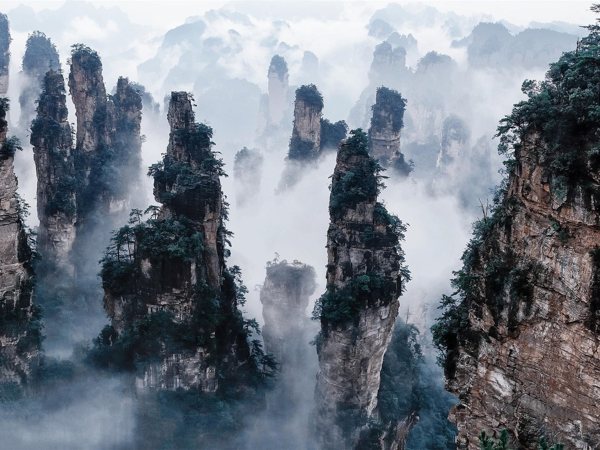 Forest, Zhangjiajie, Mountains, China, 1080P, National, Fog, Cliffs, Park, HD Wallpaper
