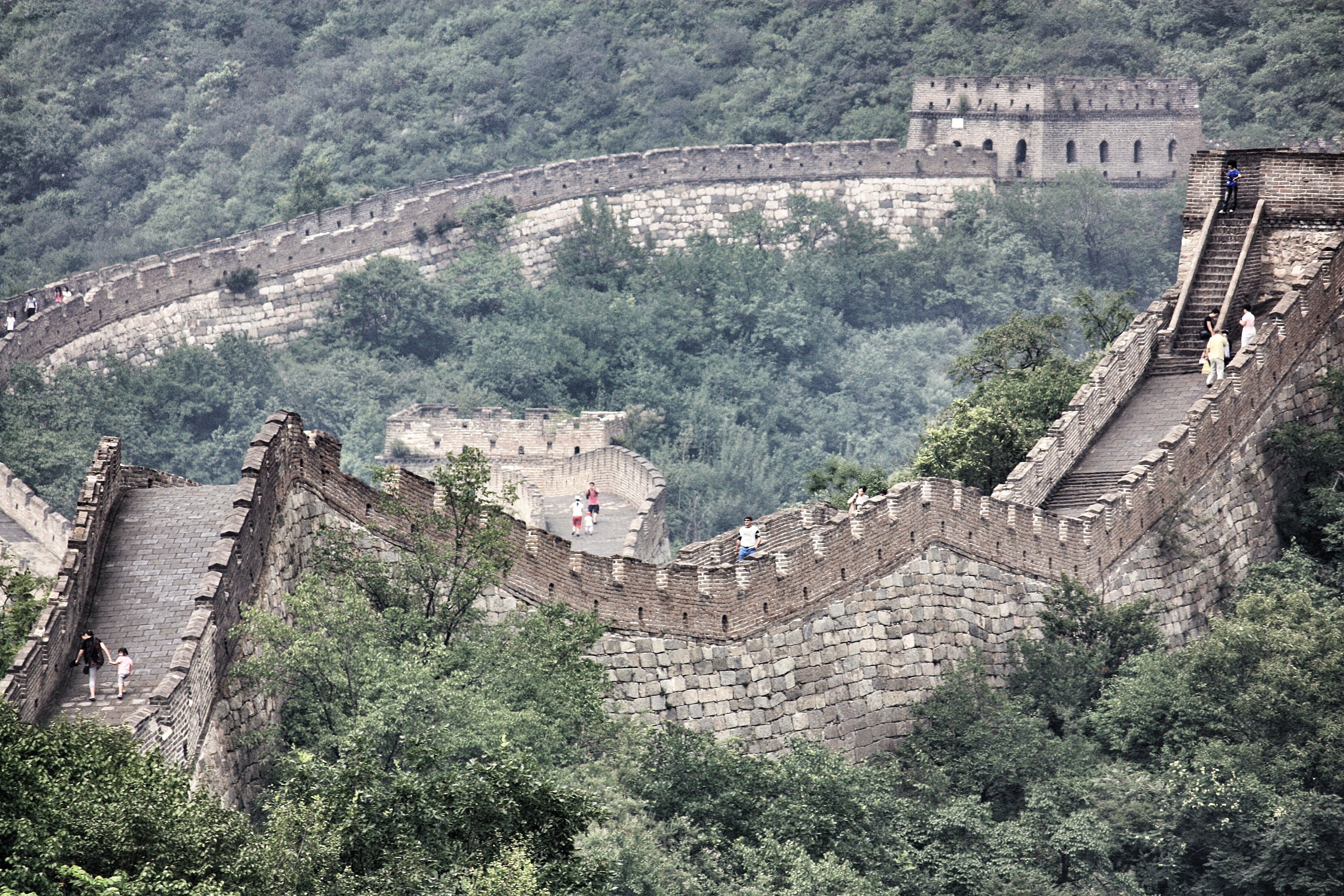 architecture, hike, the past, amphitheatre, building exterior, grey, walk, plant, history, travel, built structure, tree, stone, amphitheater, arena, wonder, HD Wallpaper