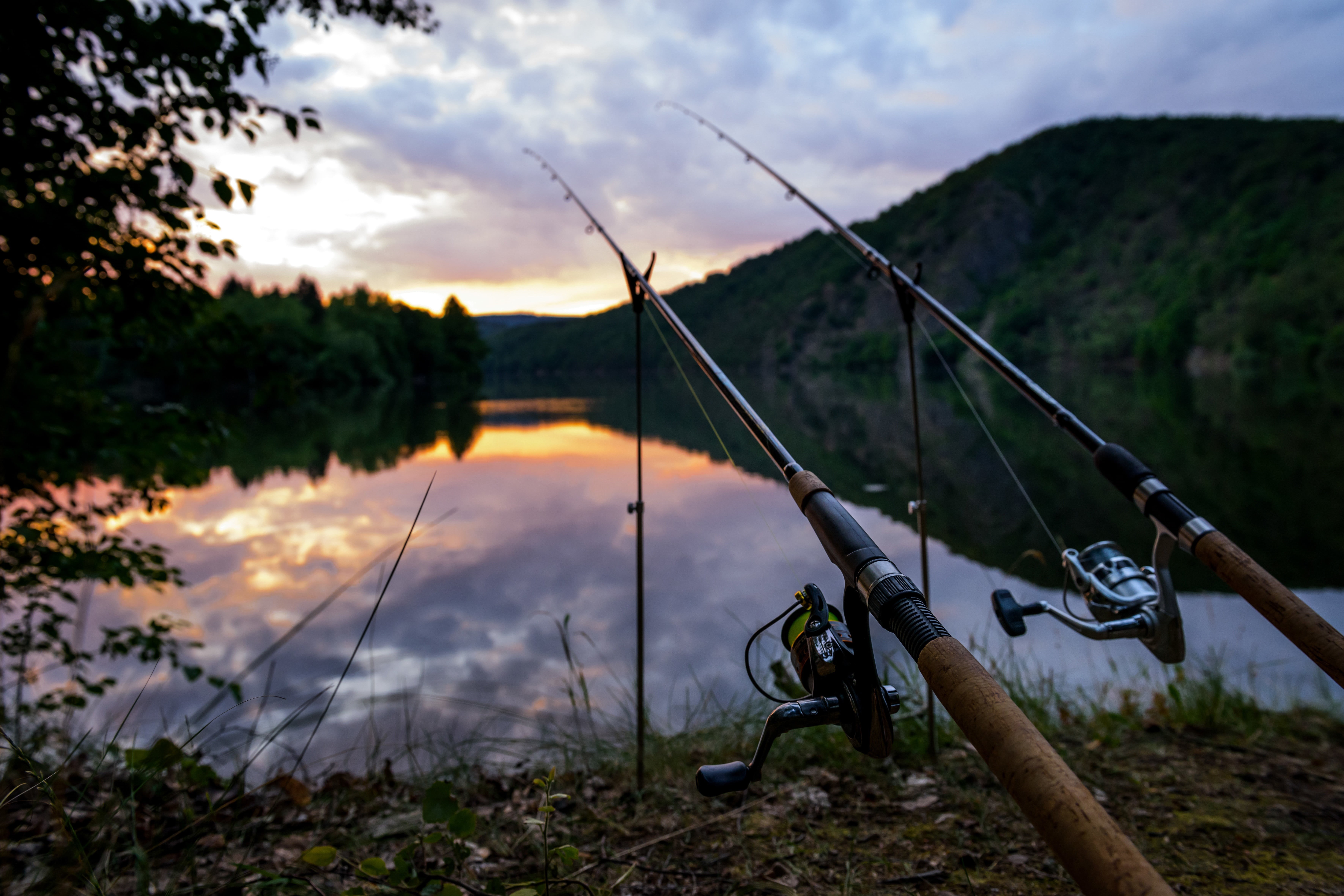 sunset, no people, freshwater fishing, focus on foreground, blur, water, nature, growth, sky, plant, silence relax, the Vltava river, two, non-urban scene, HD Wallpaper