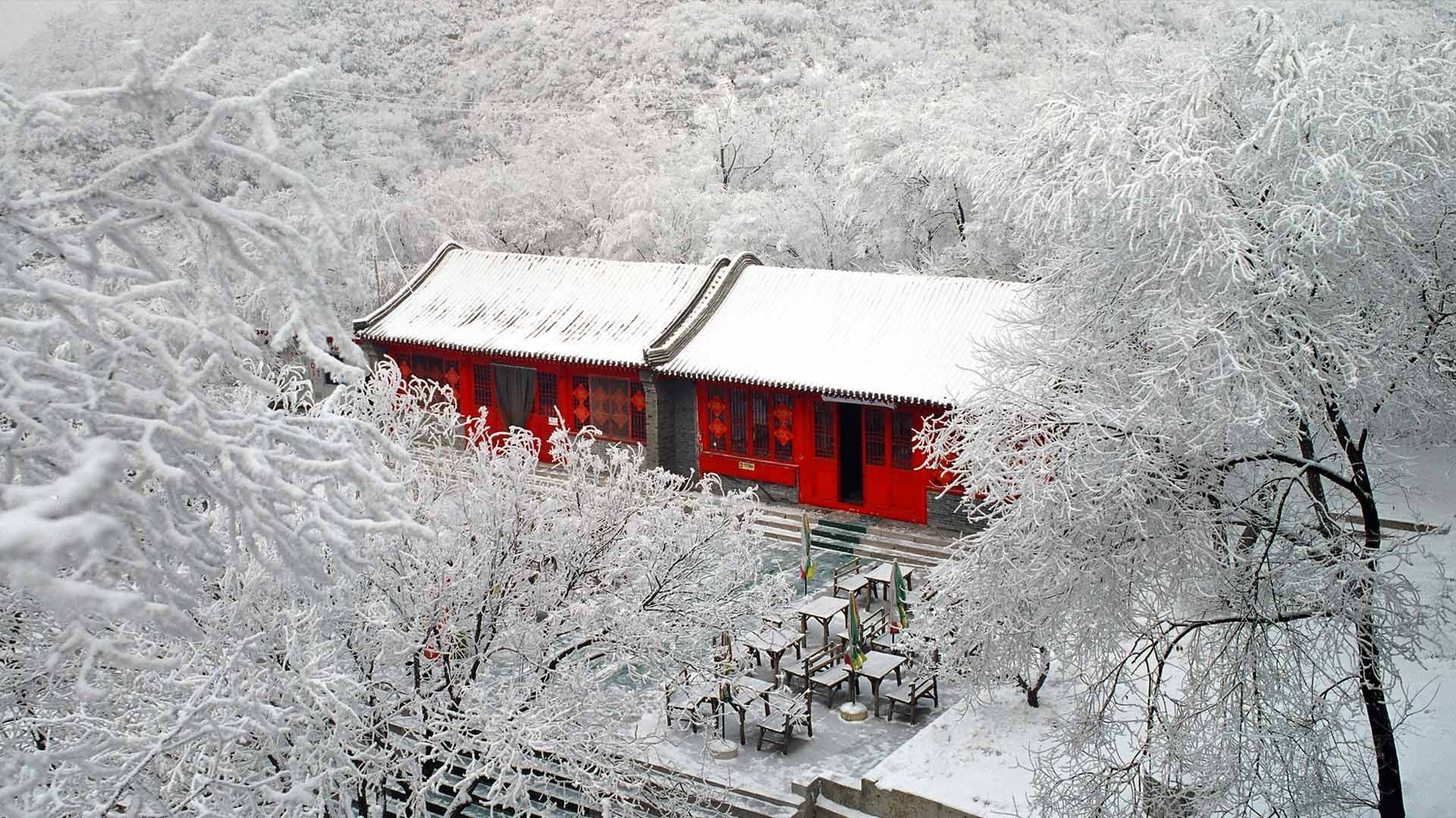 frost, Badaling, Beijing, winter, 1080P, China, trees, snow, HD Wallpaper