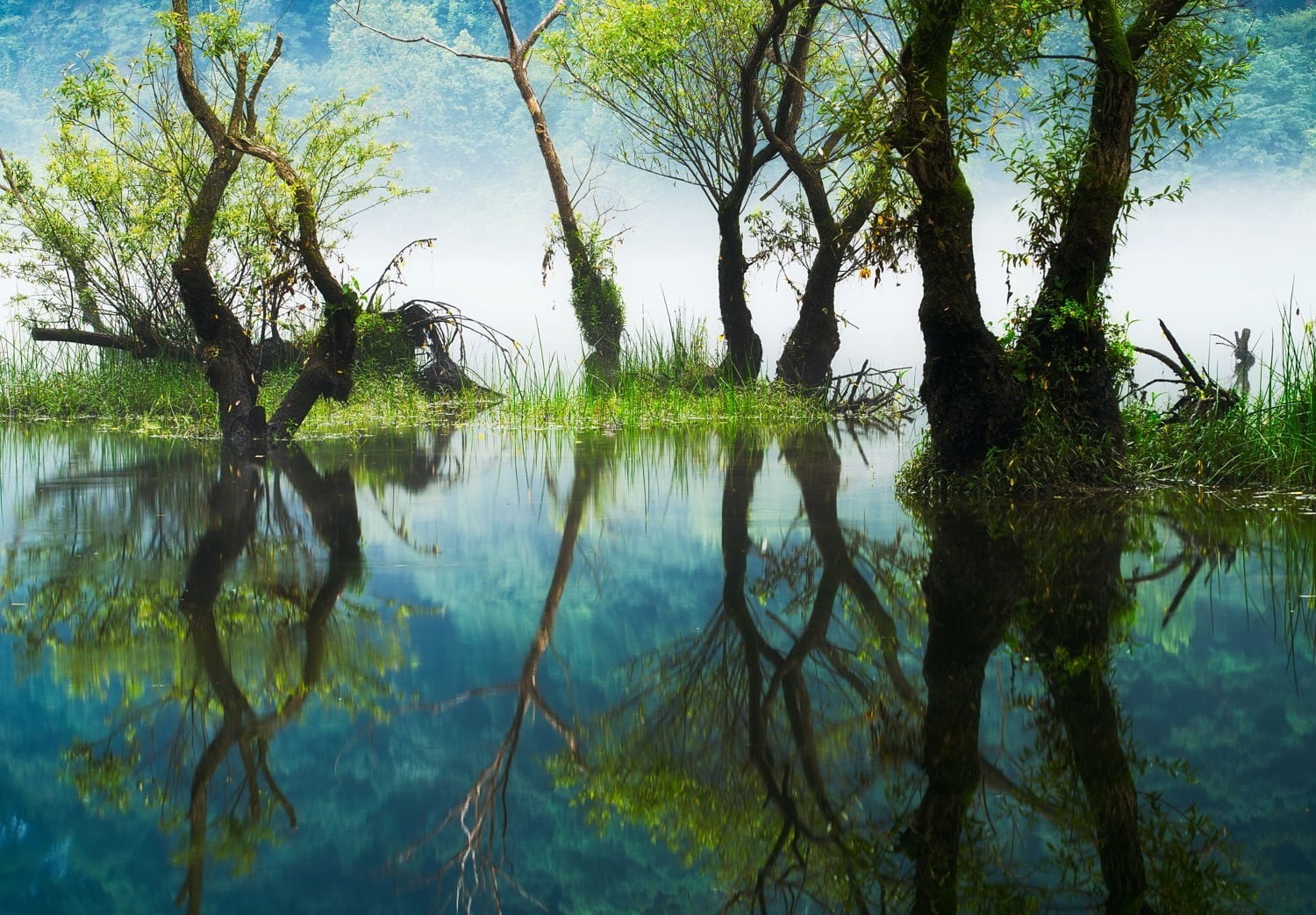 day, reflection, no people, 720P, tranquil scene, plant, painting, sky, tranquility, hills, river, photography, trees, beauty in nature, tree, brown, green, HD Wallpaper