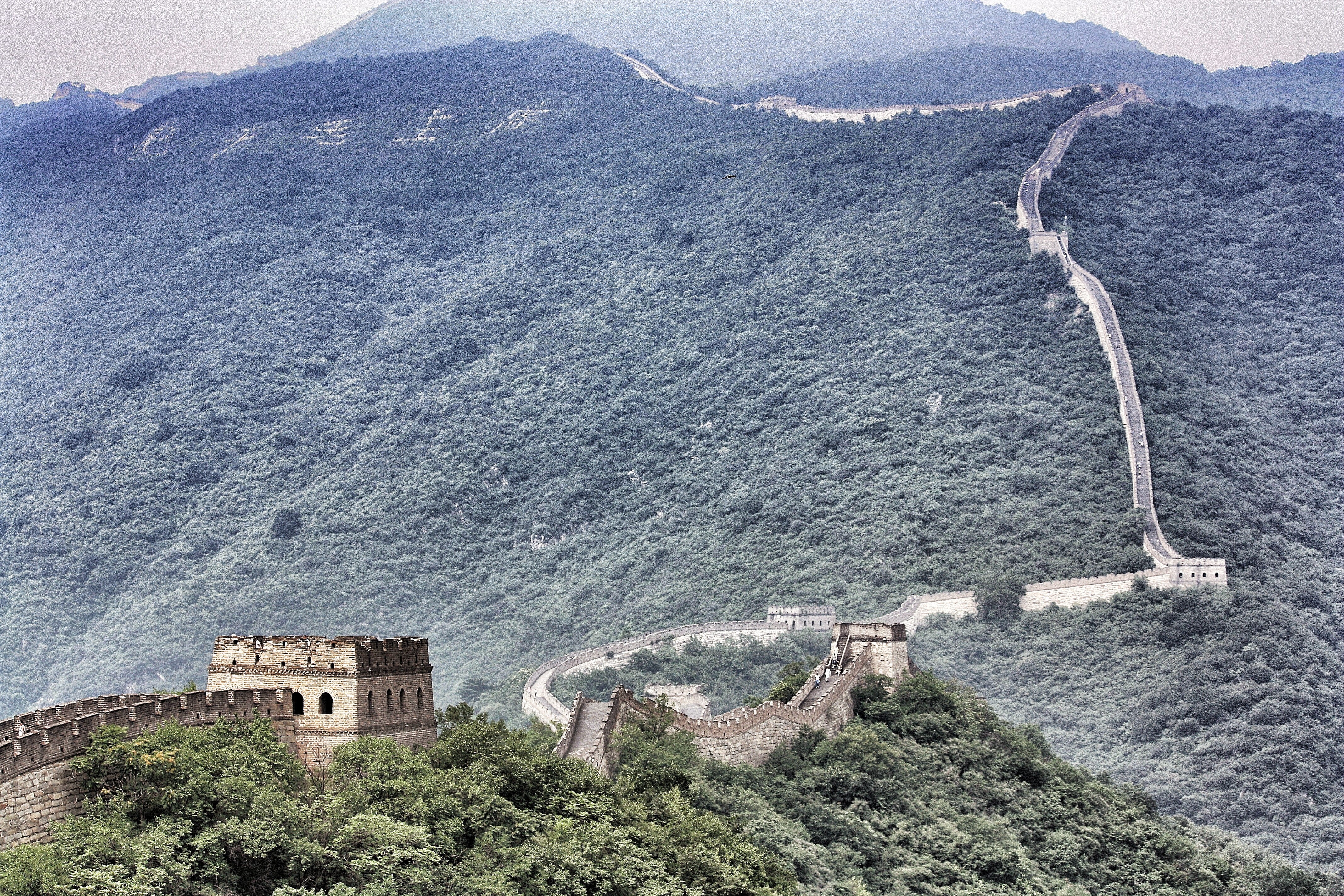 great wall, environment, china, outdoors, nature, beauty in nature, mountain, 4K, built structure, building exterior, day, asium, travel destinations, HD Wallpaper