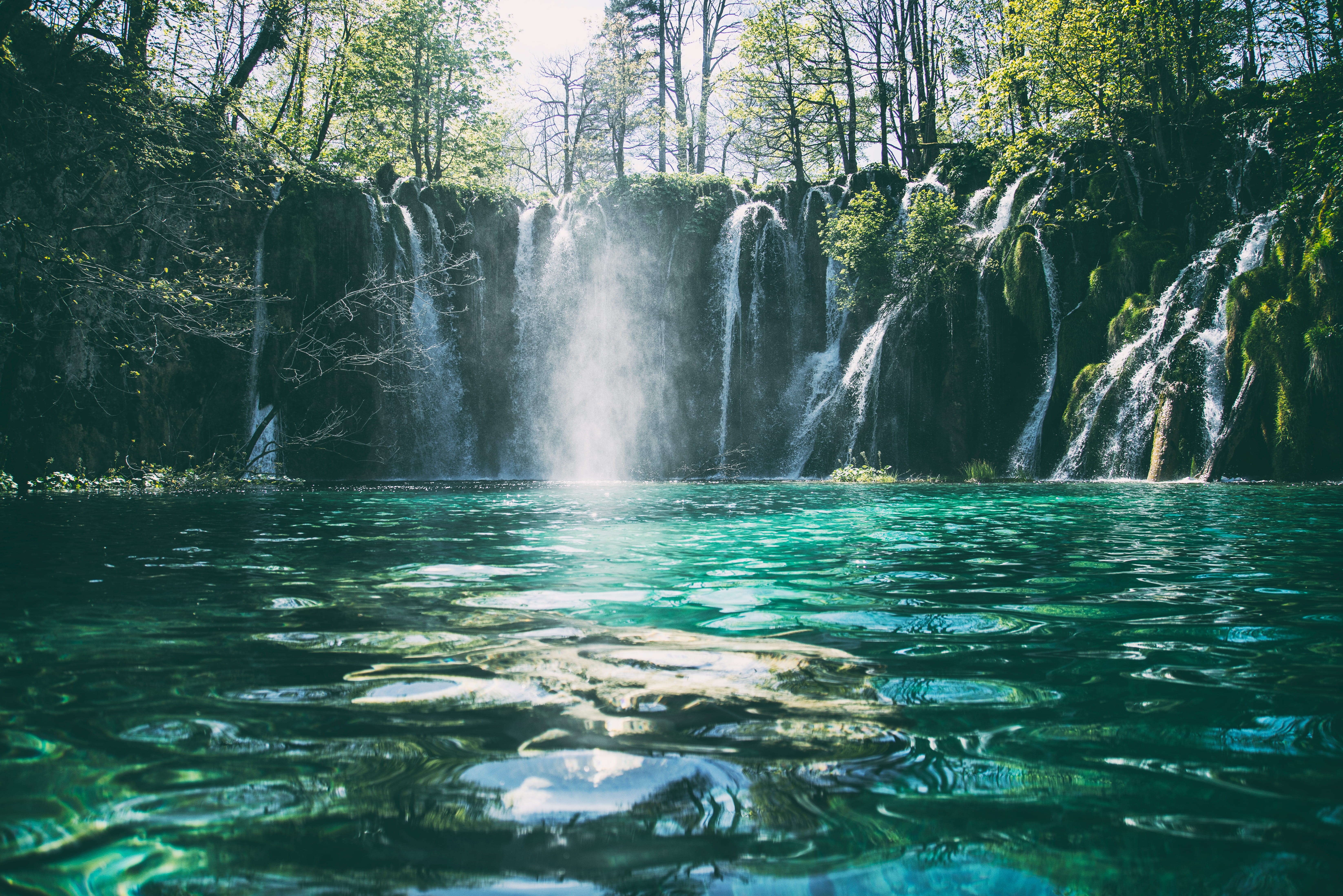 5K, flowing, lake, splashing, plitvička jezera, trees, day, no people, falling water, non-urban scene, croatia, nature, tree, waterfall, long exposure, HD Wallpaper