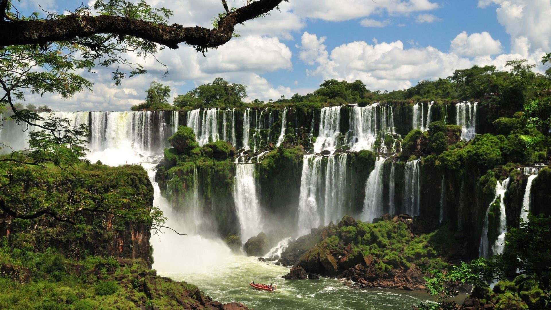 travel destinations, no people, outdoors, scenics - nature, beauty in nature, rainforest, iguazu falls, flowing, flowing water, iguazu national park, tree, HD Wallpaper