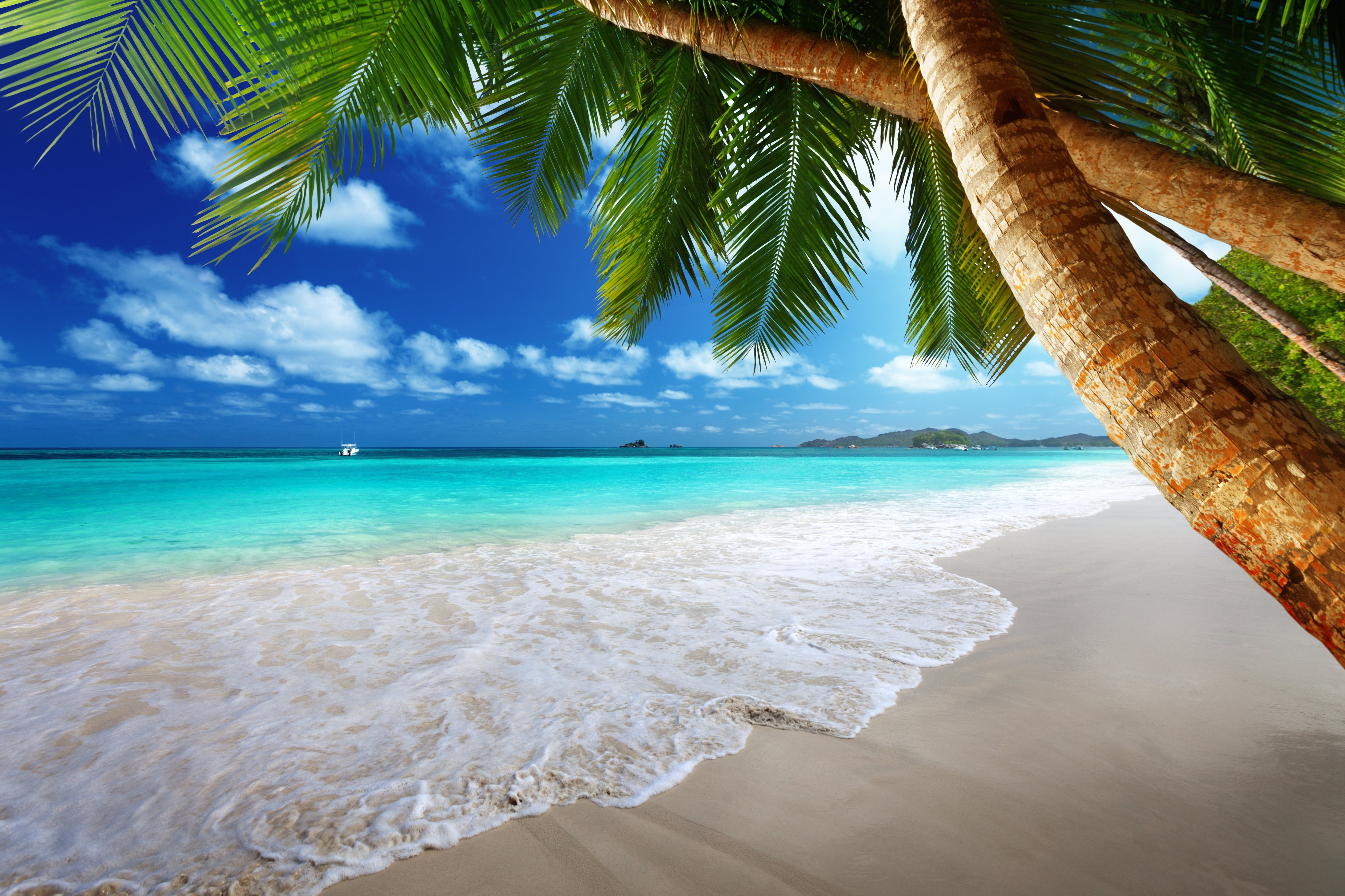 tropics, idyllic, seascape, plant, tropical, cloud - Sky, sand, horizon over water, beach, shore, tropical Climate, caribbean Sea, scenics, exoticism, water, HD Wallpaper
