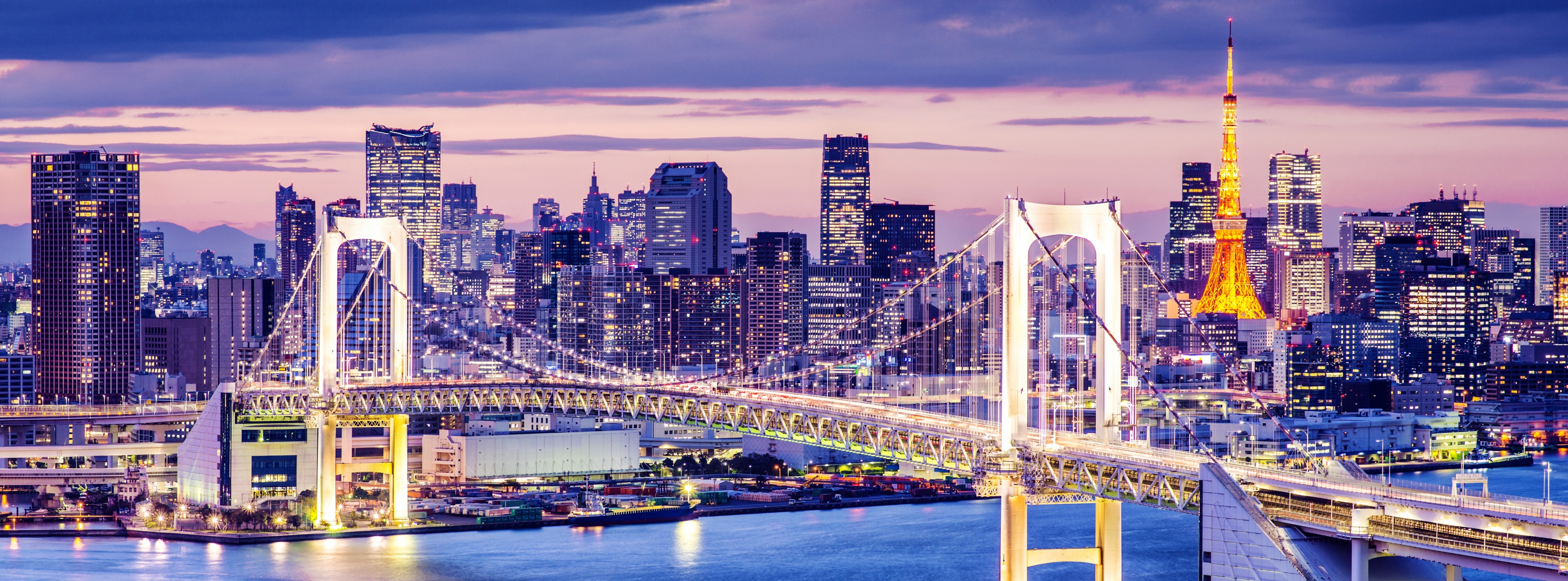 transportation, built structure, Asia, Island, residential district, Travel, City, building exterior, sky, Odaiba, Tokyo, urban skyline, Ward, Skyscrapers, HD Wallpaper
