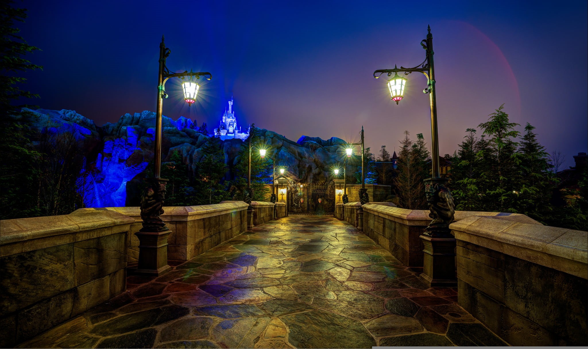 nature, plant, Disneyland, illuminated, street light, outdoor, lighting equipment, Orlando, street, castle, travel destinations, Magic Kingdom, direction, HD Wallpaper