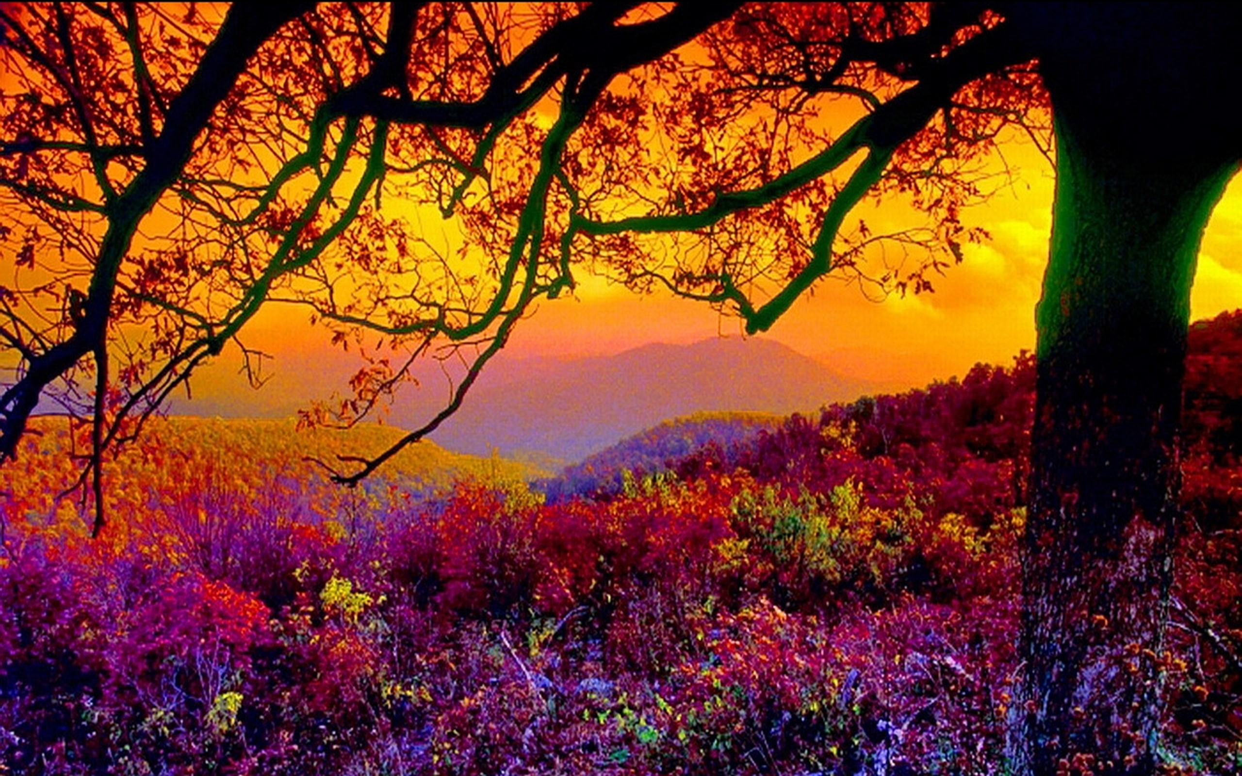 backgrounds, 2K, page, hd, scenic, HD Wallpaper