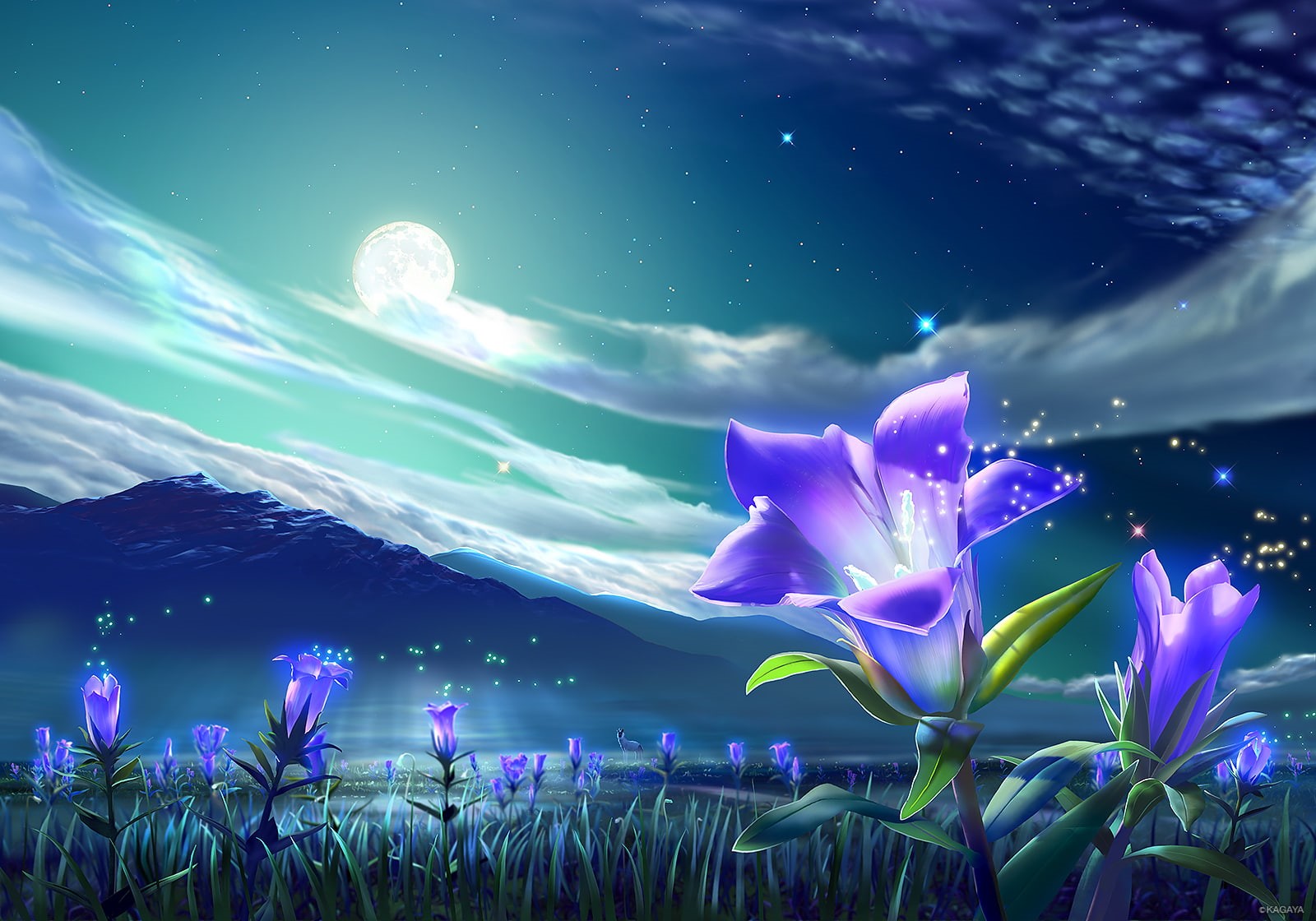 night, animal, grass, landscape, sky, stars, 720P, scenic, original, clouds, moon, flowers, kagaya, HD Wallpaper