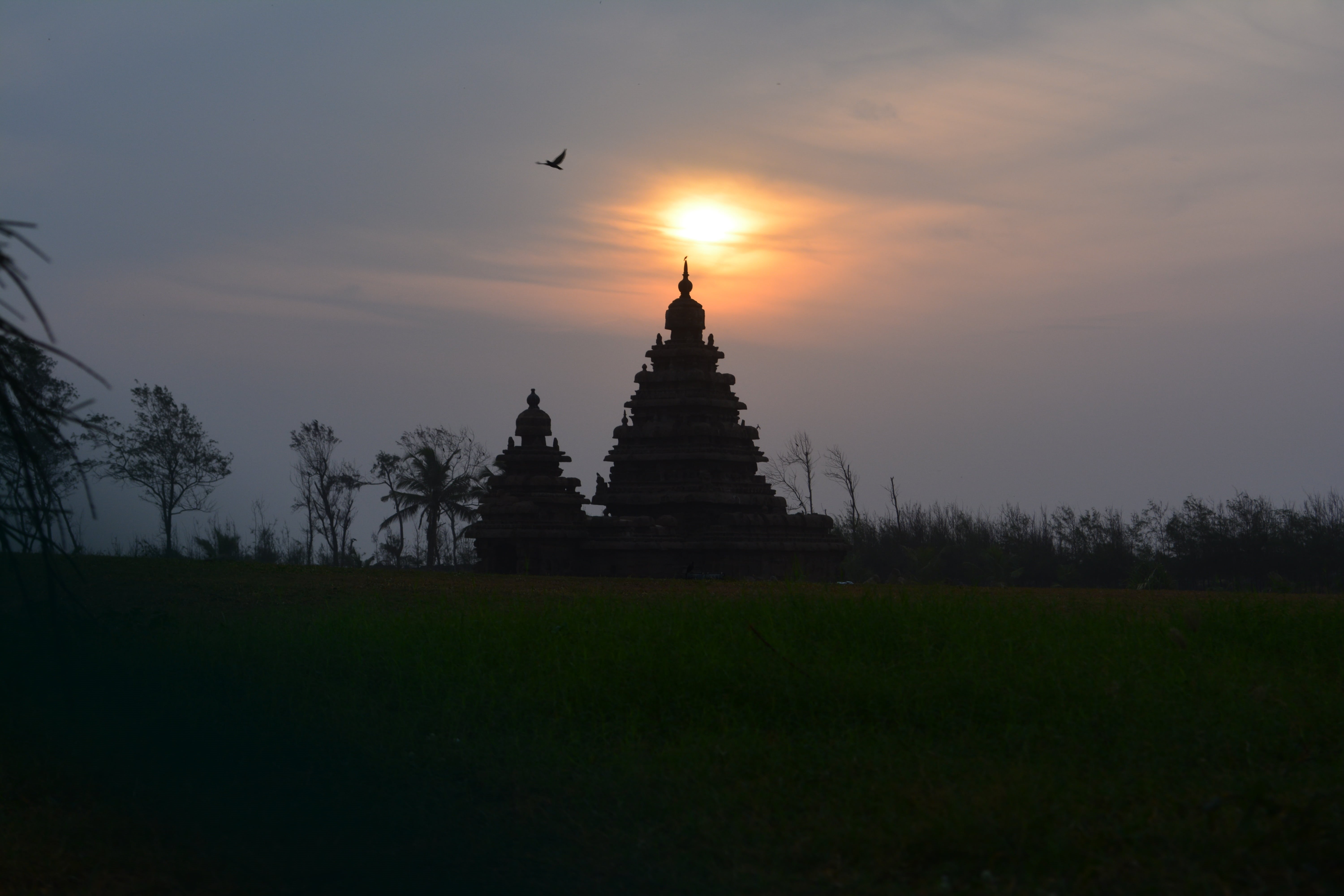 sky, asia, history, 5K, architecture, sunset, cultures, the past, plant, built structure, building, hindu, chennai, shore temple, outdoors, cloudy, stupa, HD Wallpaper