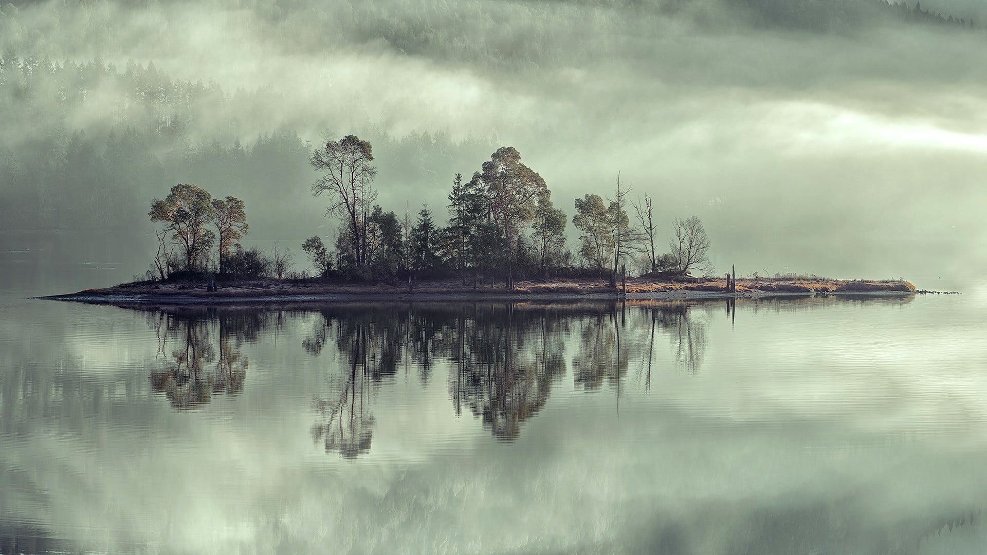 tree, 1080P, trees, morning, tranquility, reflection, fog, tranquil scene, travel destinations, landscape, cloud - sky, beauty in nature, photo, lake, HD Wallpaper