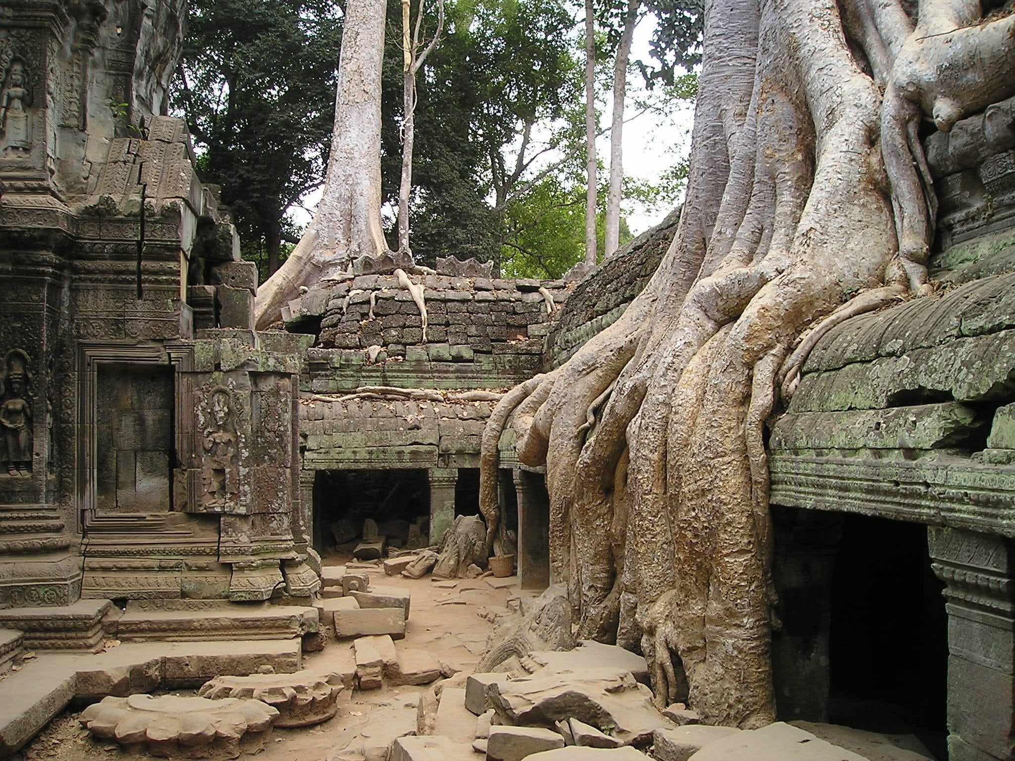 structure, ancient, hinduism, architectural column, so, 1080P, angkor, famous Place, the past, khmer, root, no people, brown, buddhism, belief, outdoors, HD Wallpaper