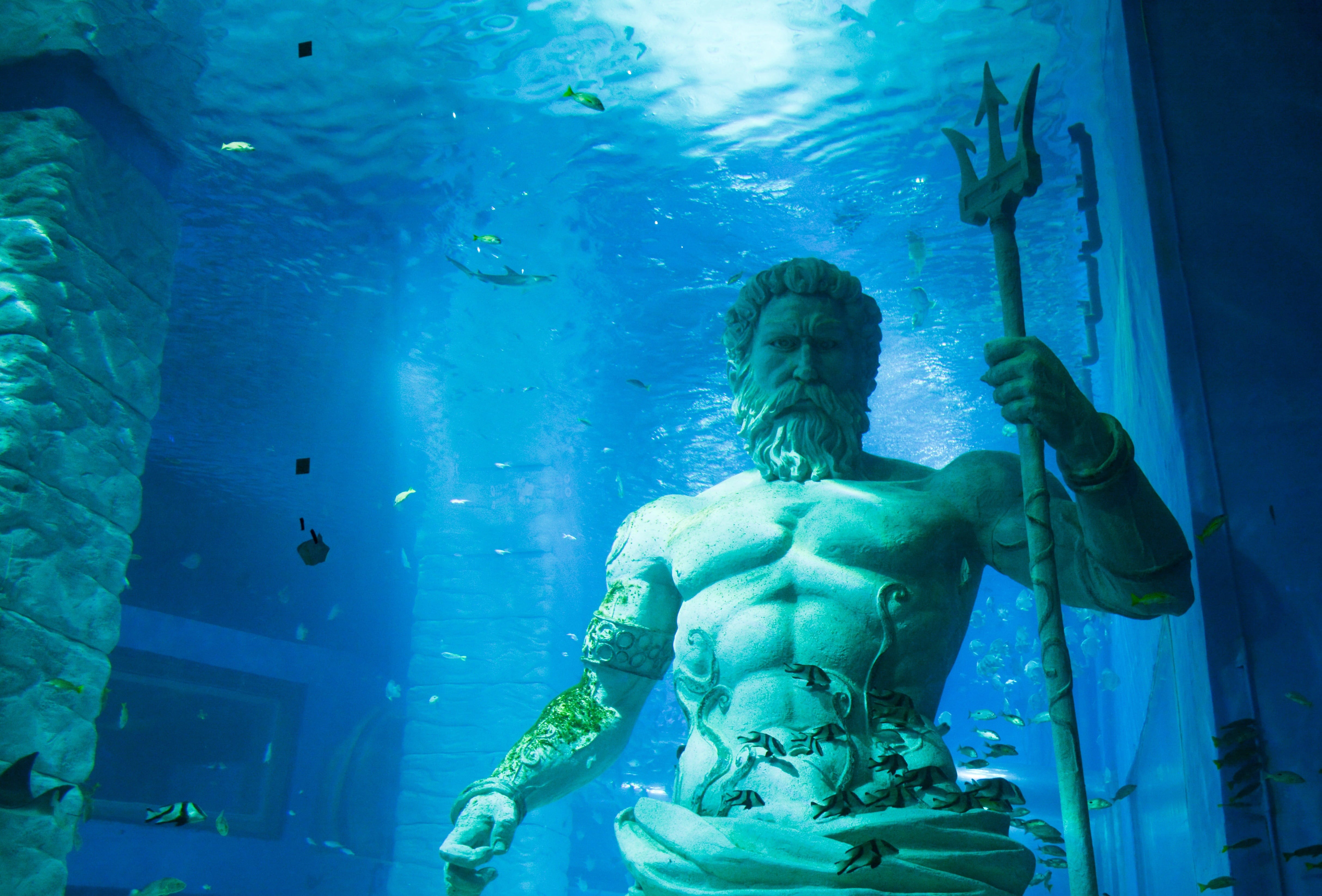 statue, animal themes, deep sea, animal wildlife, swimming, greek mythology, tank, animal, indoors, animals in captivity, water, marine, fish, aquarium, HD Wallpaper