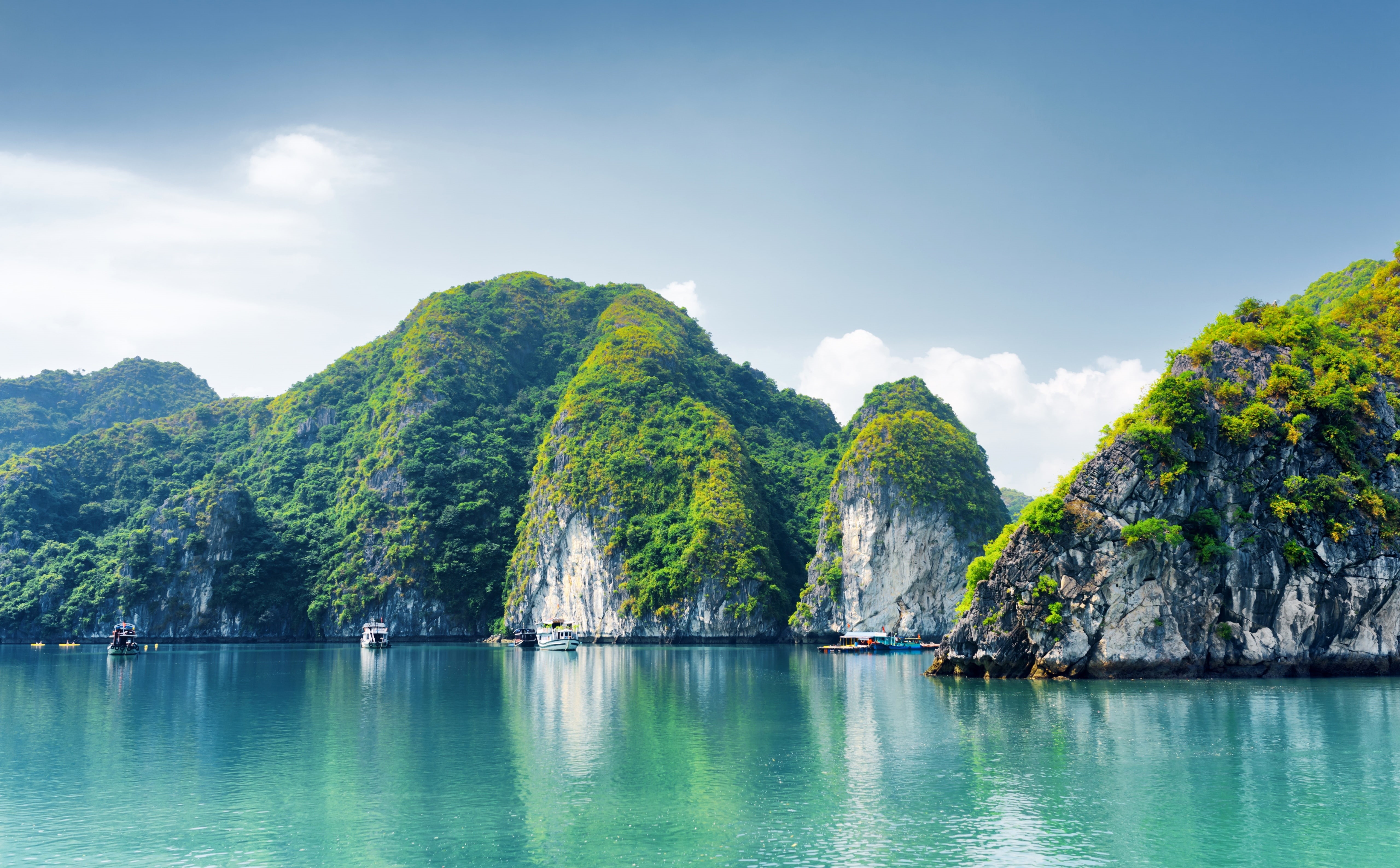 Cruise, green color, Vessel, Nature, landmark, Vacation, Destination, no people, Seascape, Tour, tree, long, sea, Famous, Asia, rock, Outdoor, formations, HD Wallpaper
