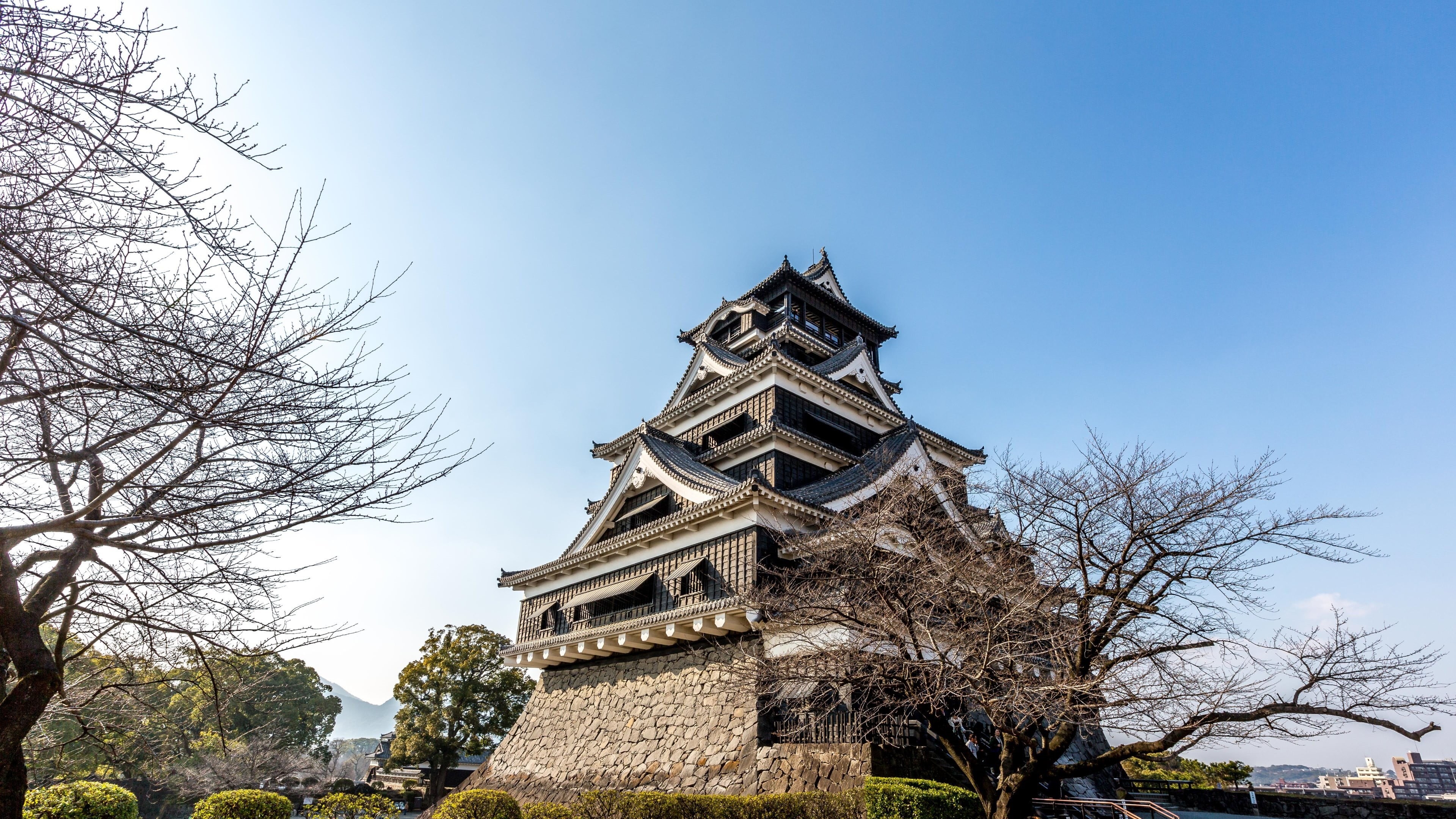 tree, temple, gray, the past, bare tree, built structure, plant, outdoors, building, no people, travel destinations, day, ancient, city, Japan, 4K, sky, HD Wallpaper