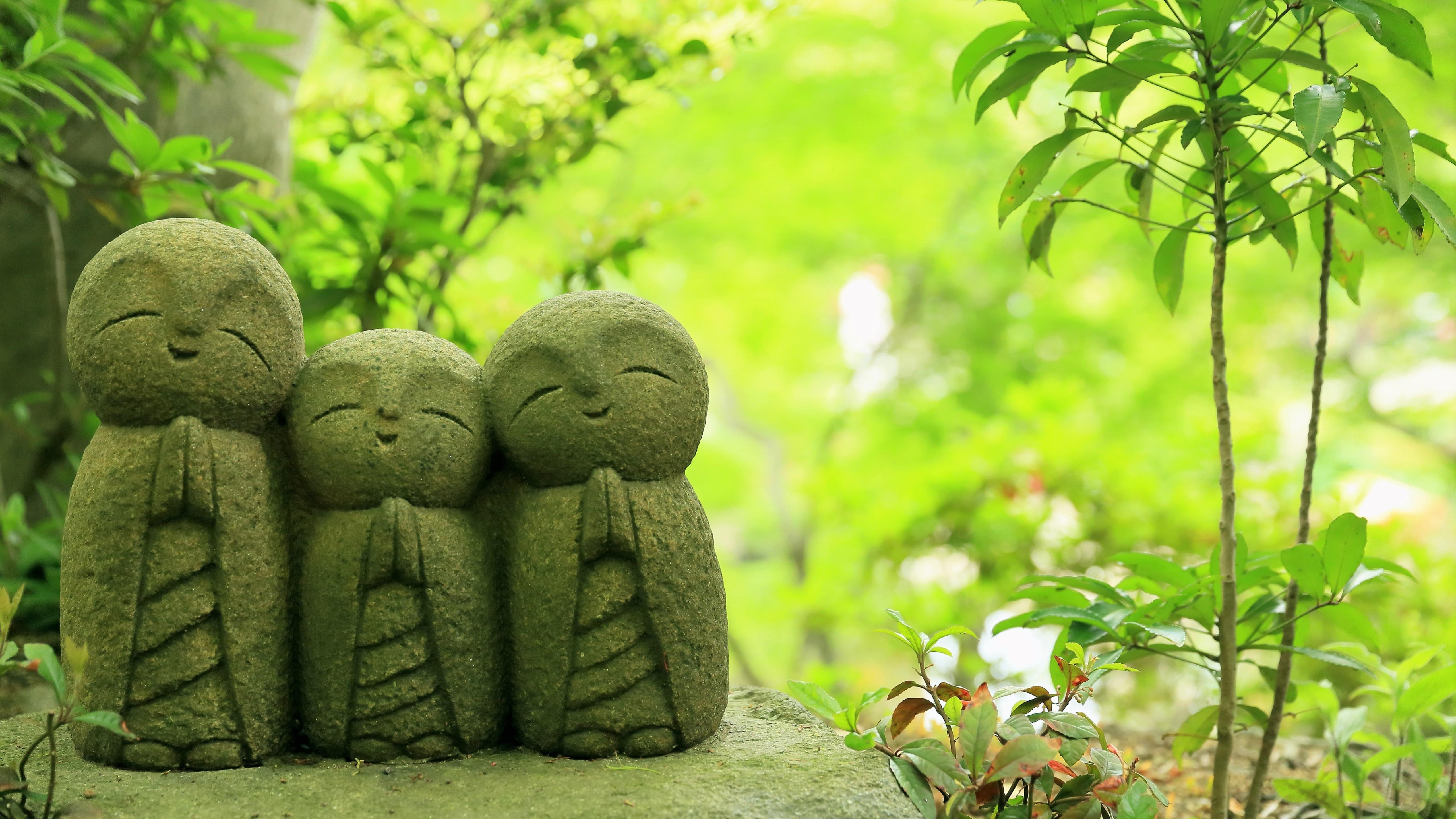 temple, hase-dera, buddhist temple, plant, statues, 5k uhd, japan, hase dera temple, hase dera, buddhism, stone, 5k, statue, hase-dera temple, 5K, green, HD Wallpaper